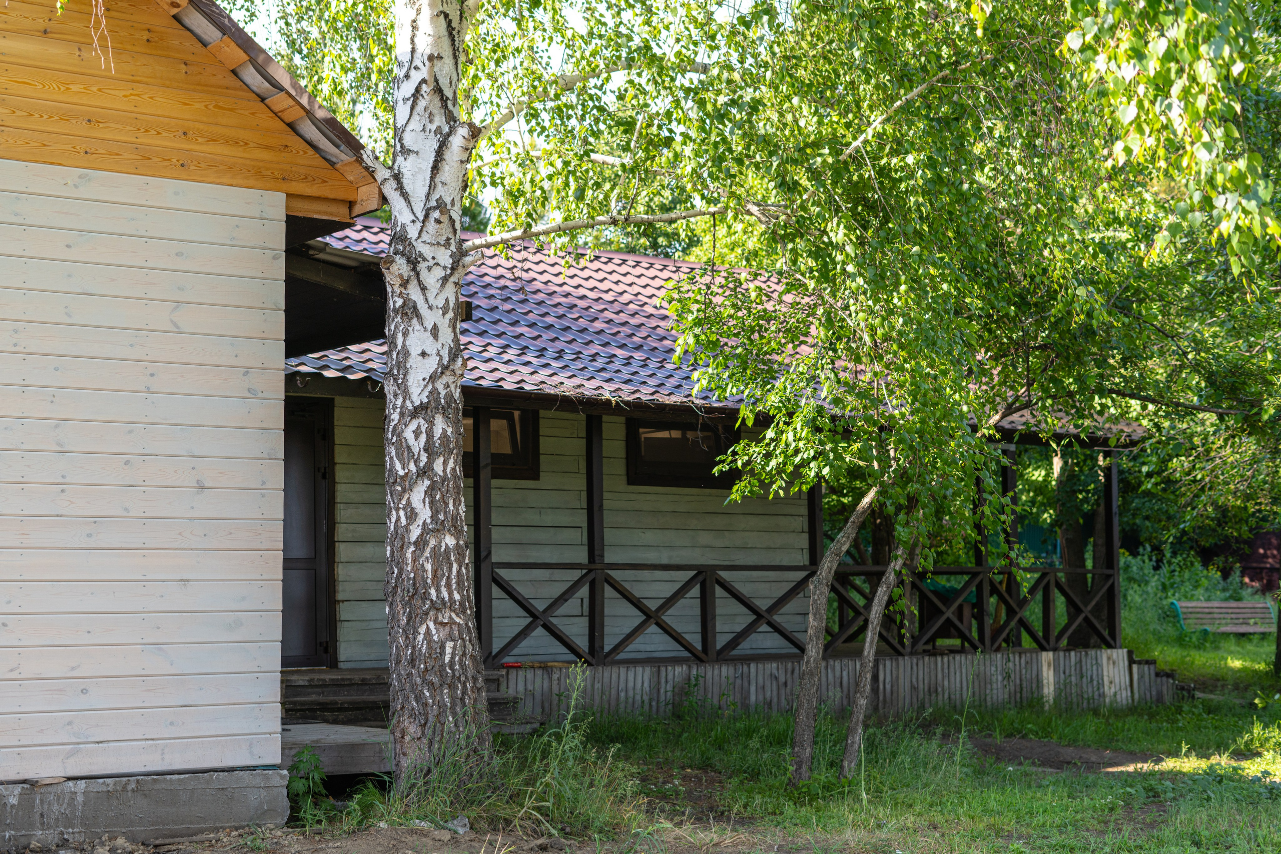 Полянка. Анастасия Паршукова — фотограф Шерегеш Новосибирск