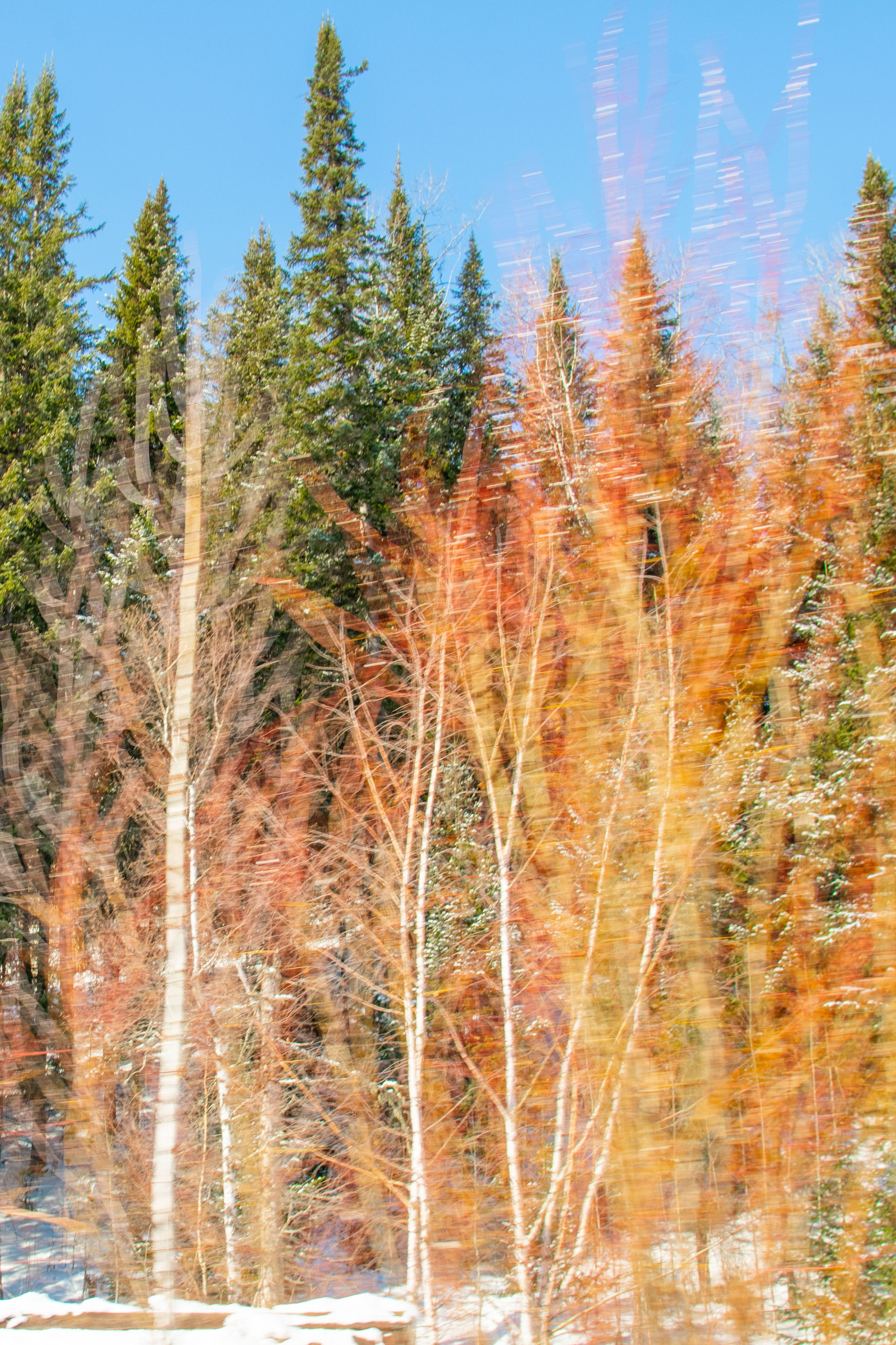 Природа. Александра Панина фотограф, портрет, семья, бизнес, Новосибирск