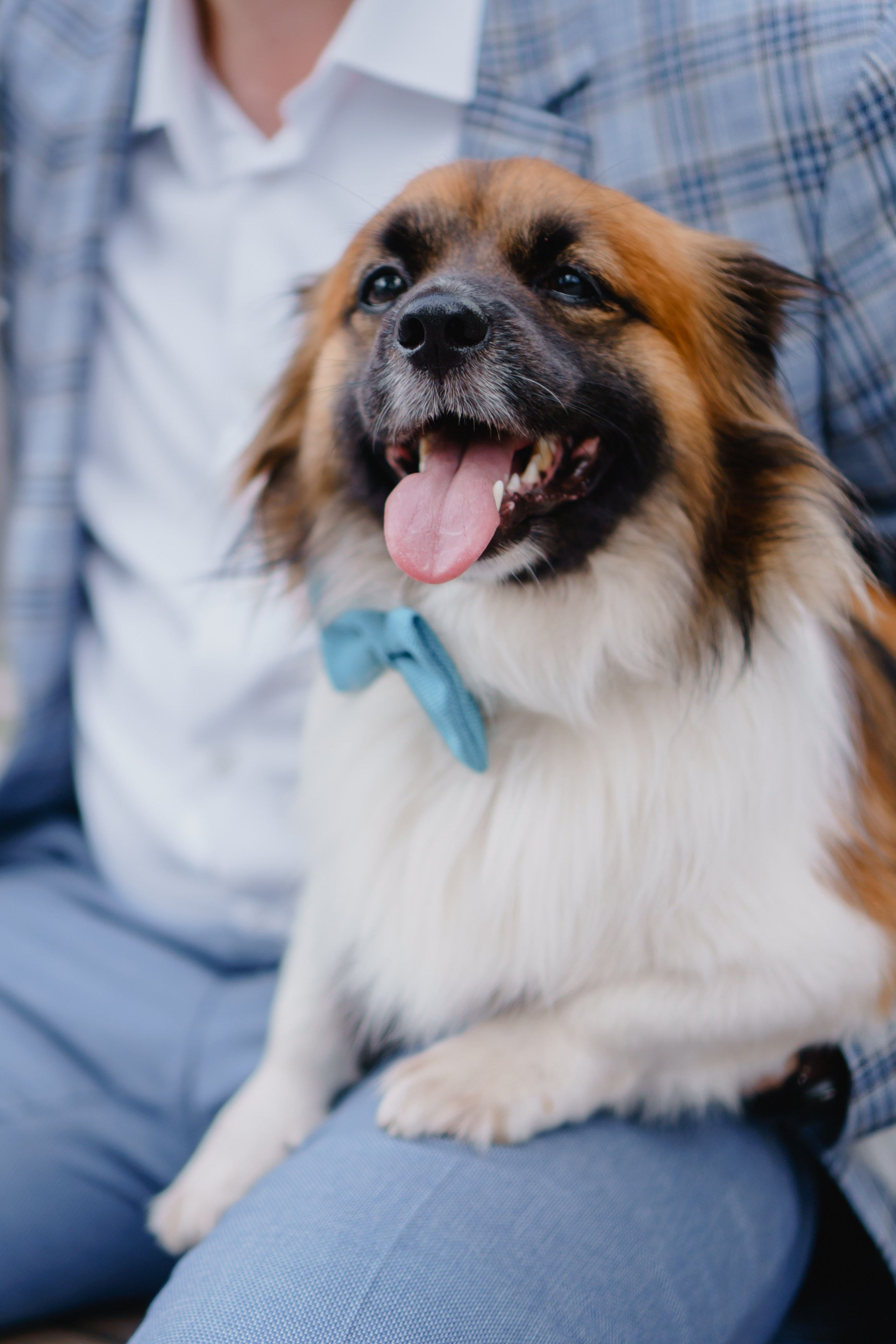 KATE&ANDREW. Анастасия Вайнер — свадебный и портретный фотограф в Германии и по всей Европе