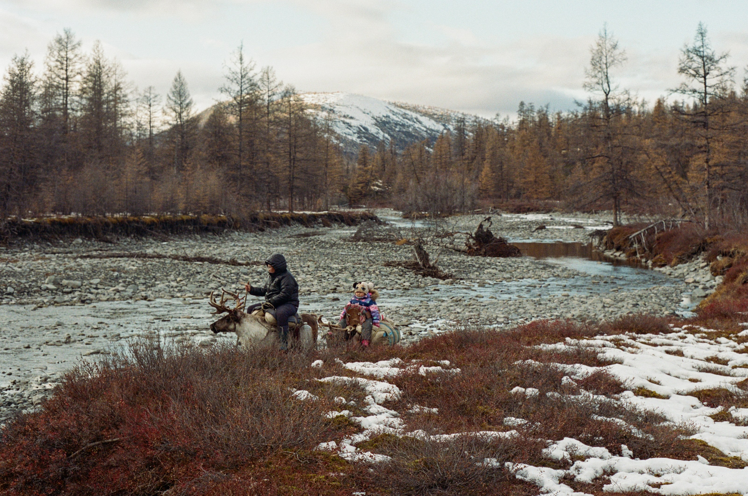Не забудь накормить озеро. Natalya Madilyan