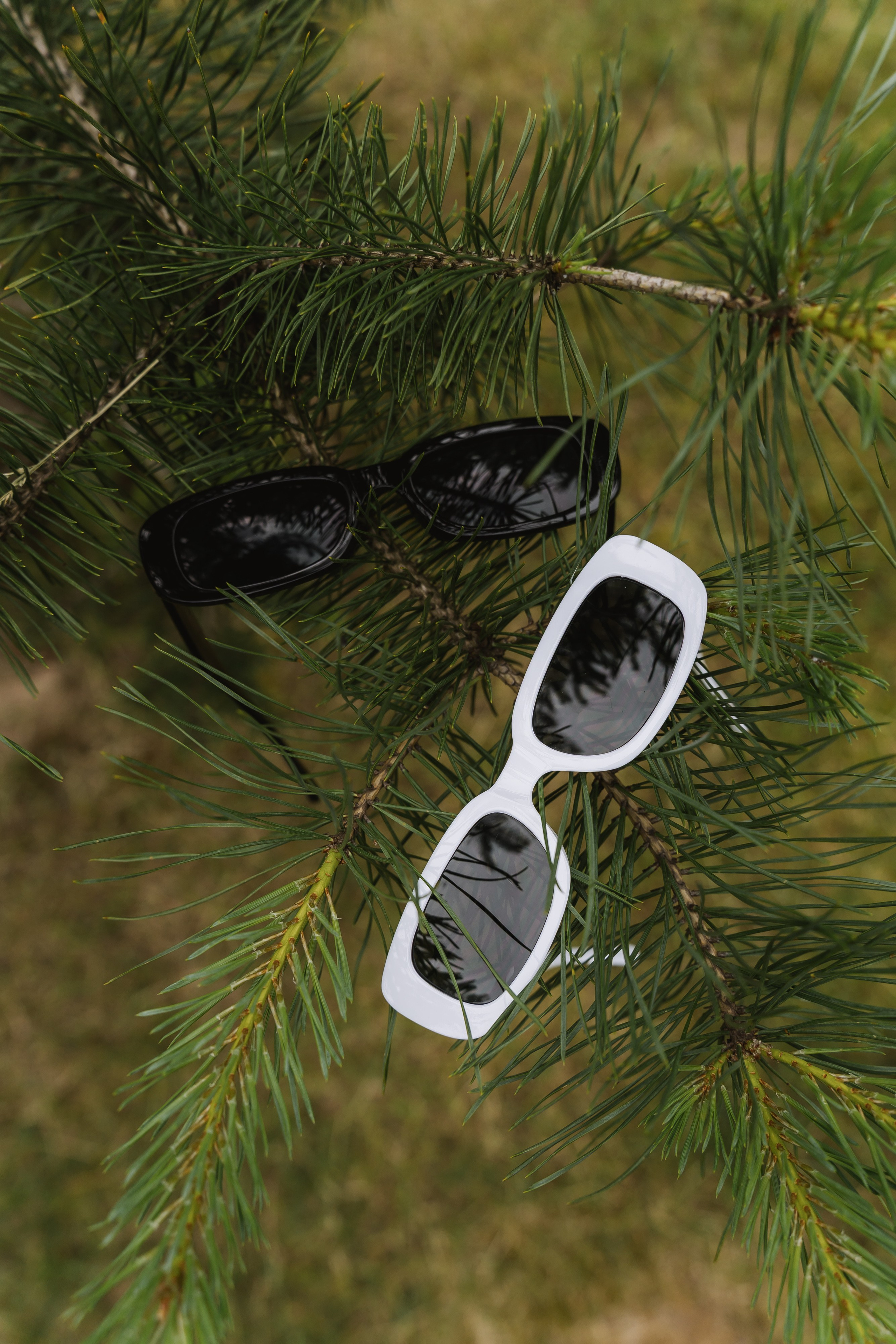 Свадьба Максима и Насти. Свадебный фотограф в Москве Яна Деньгина