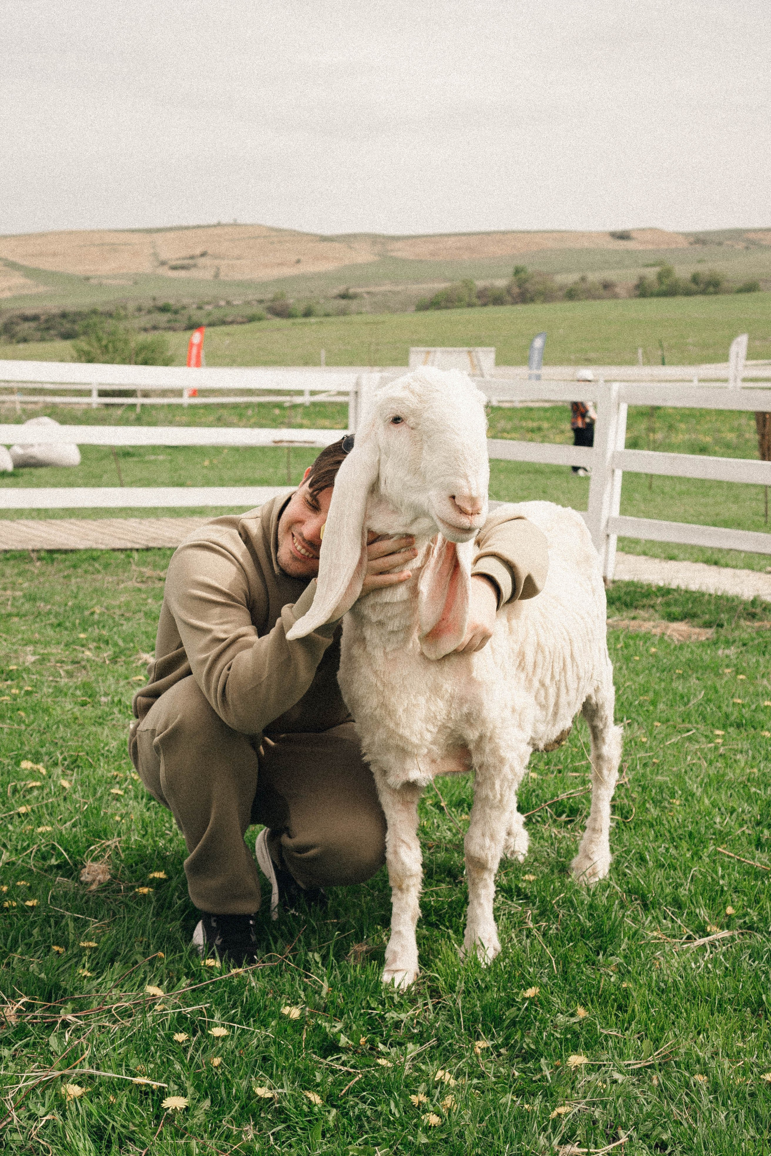 Ферма Альпак. Профессиональный фотограф, Санкт-Петербург — Виктория Богомолова
