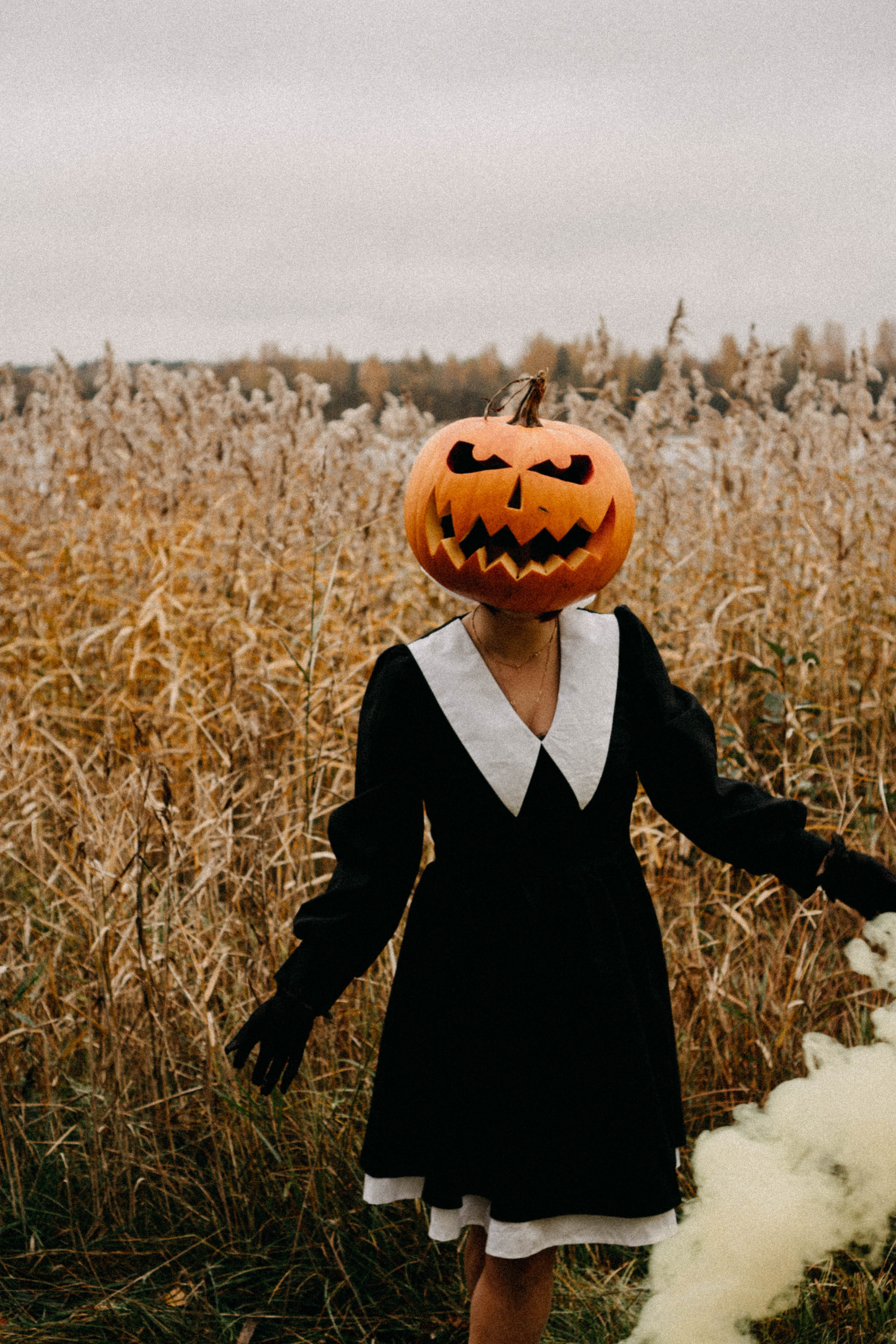 Осеняя. Профессиональный фотограф, Санкт-Петербург — Виктория Богомолова
