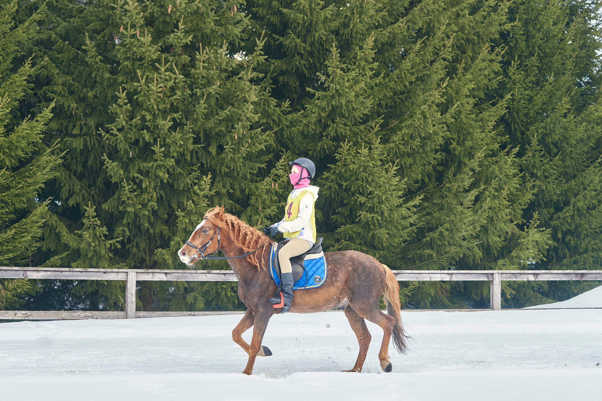 HORSE RACING. Фотограф Наталья Леонова