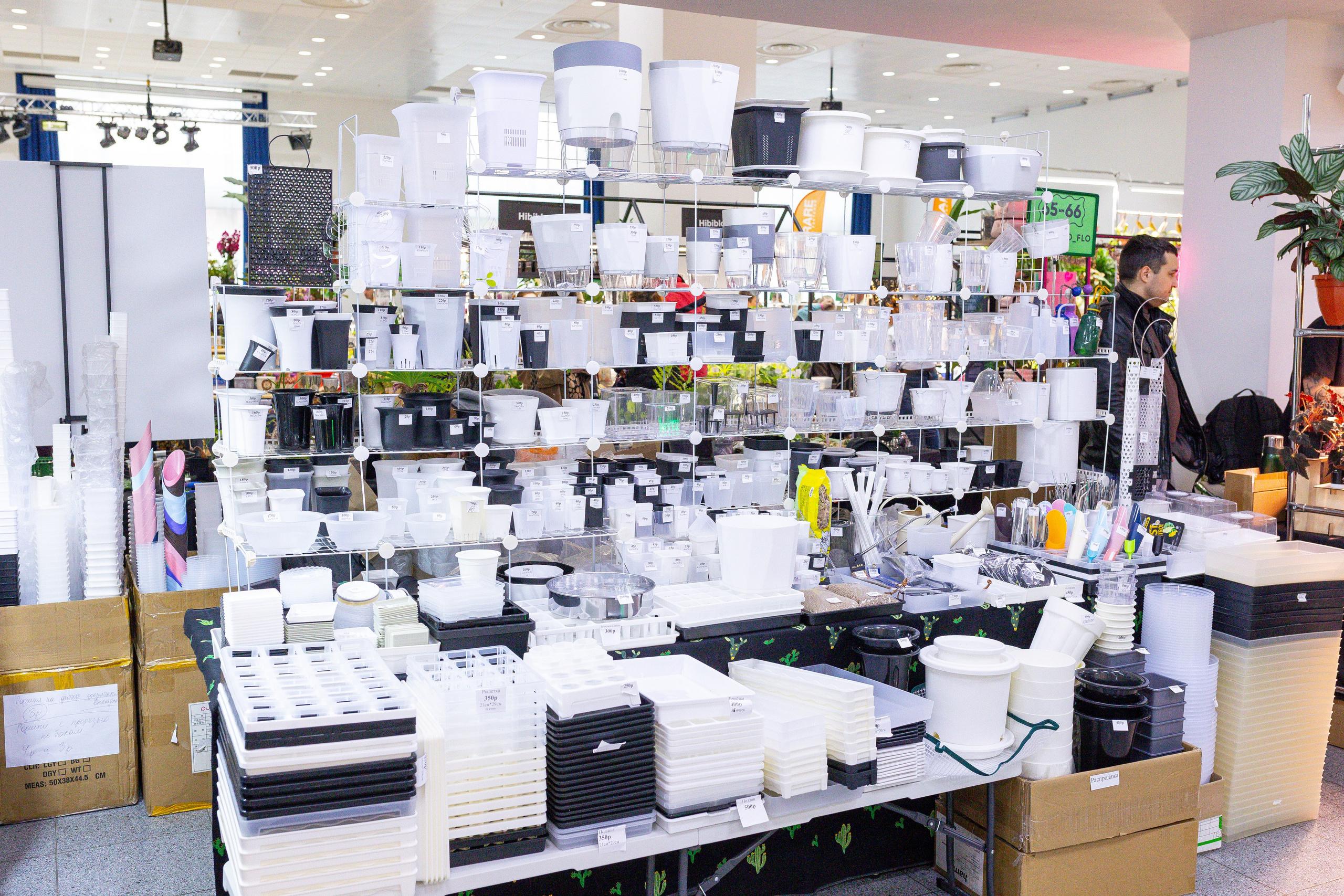 Монстериум 11–12 октября. Александра Куликова фотограф, Москва