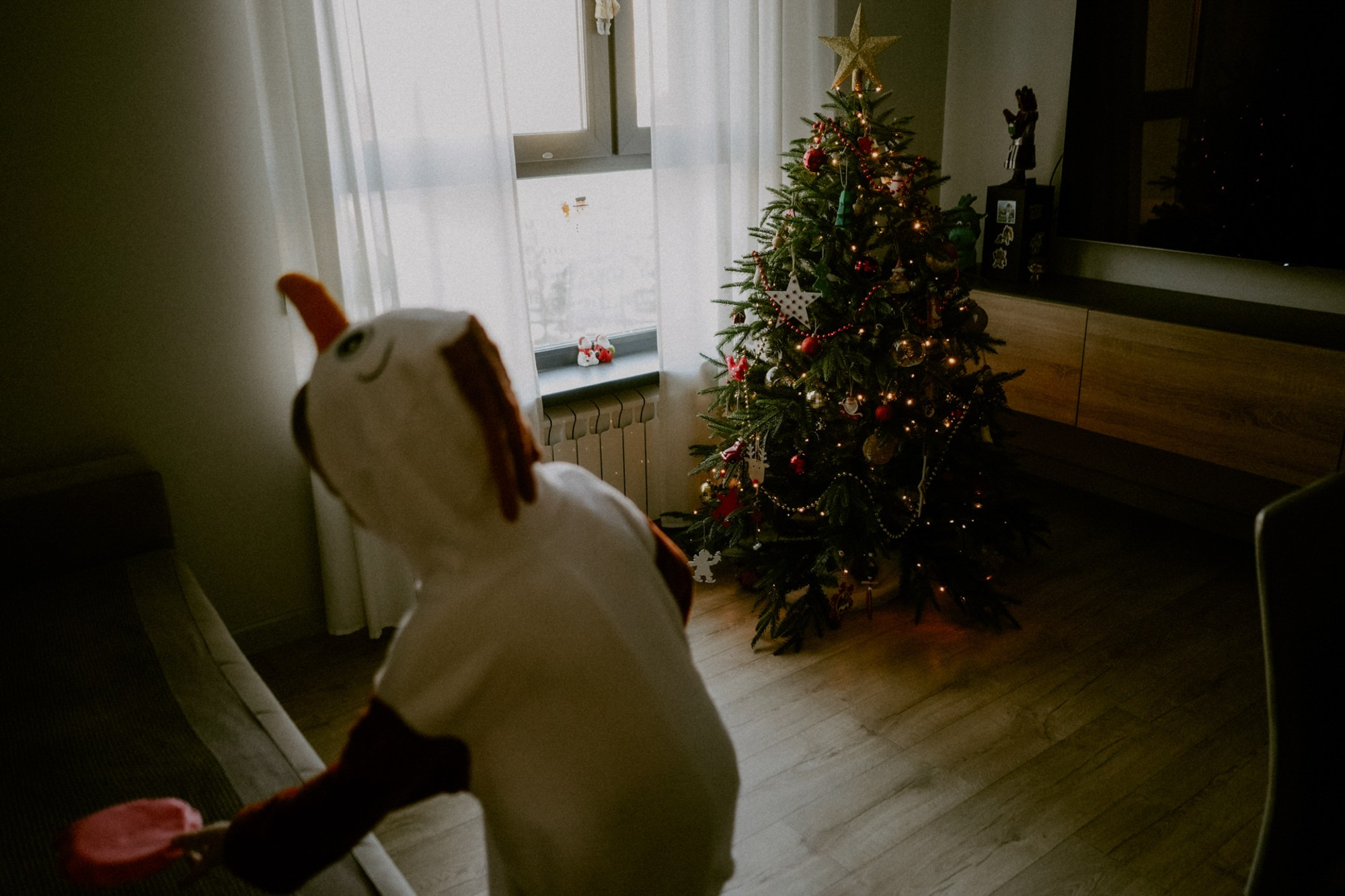 Домашняя фотосессия. Фотограф Москва — Юлия Кокова