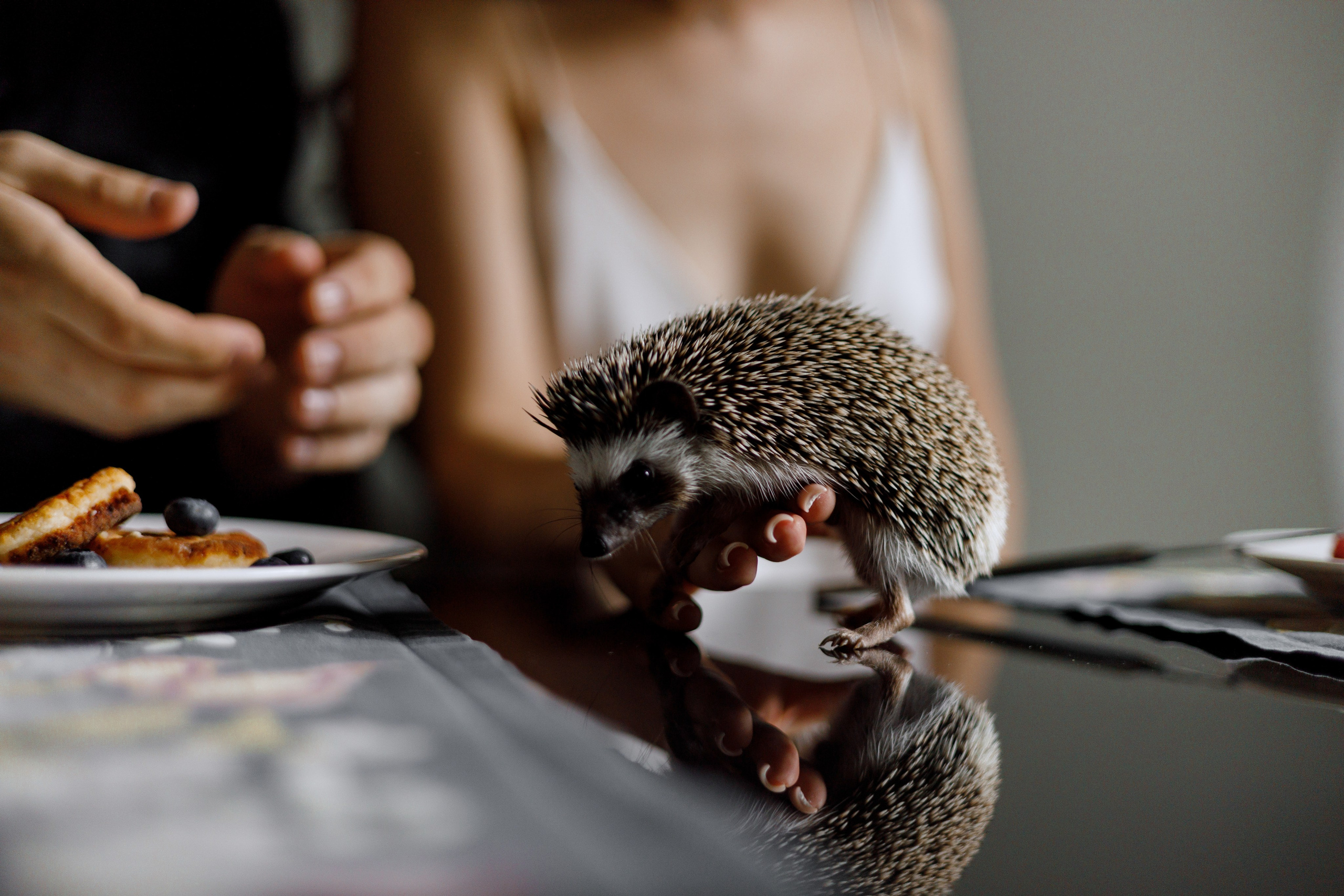 Владимир & Валерия — Санкт-Петербург. Richard and Irene - Destination wedding photographer