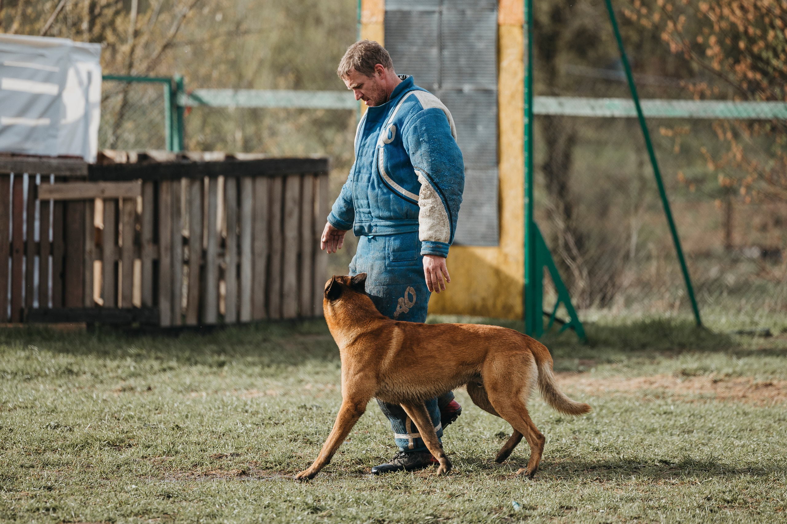09.05.25 Вологда соревнования. Фотограф-анималист Анна Маринич