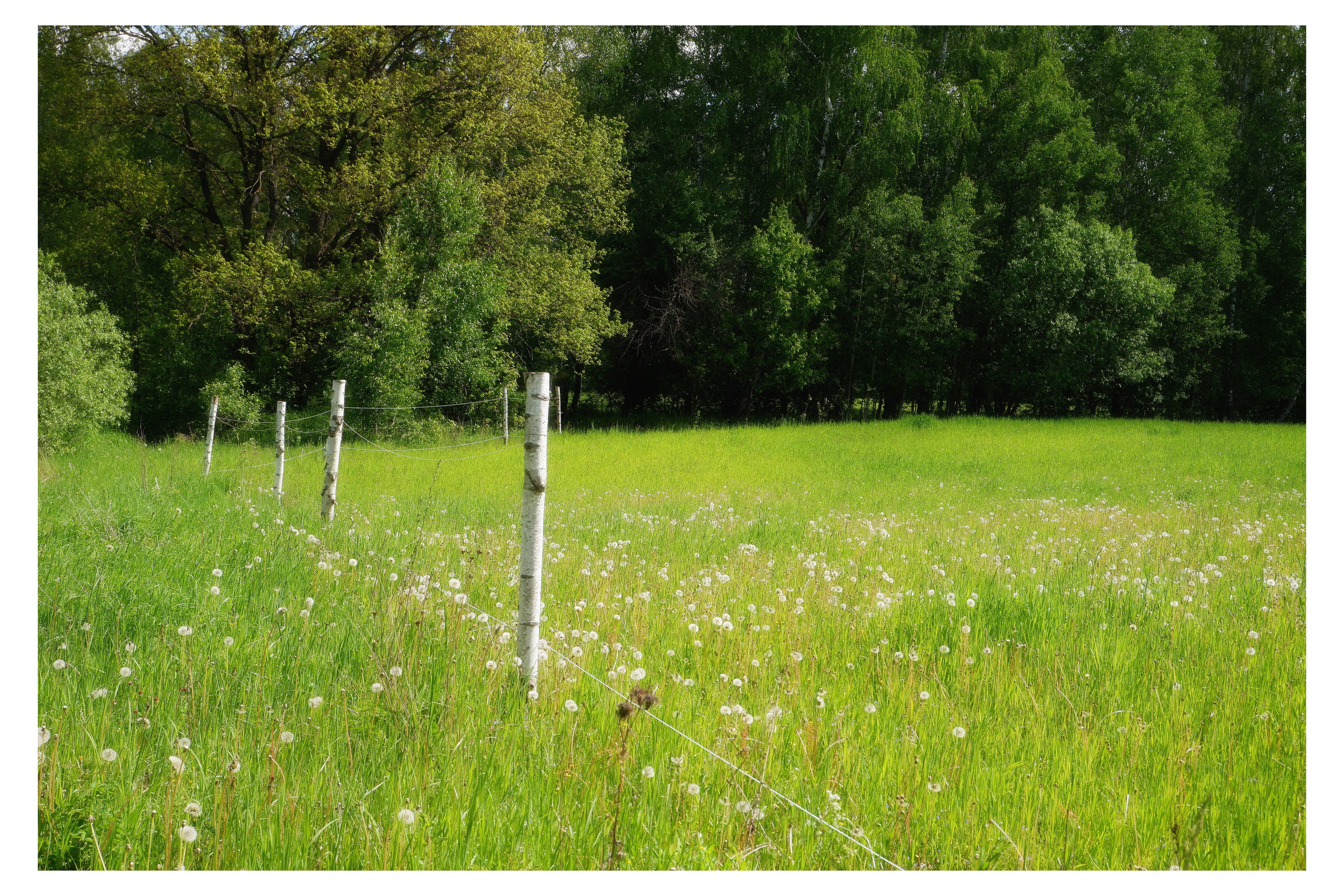 KALUGA. ANNA — PHOTOGRAPHER