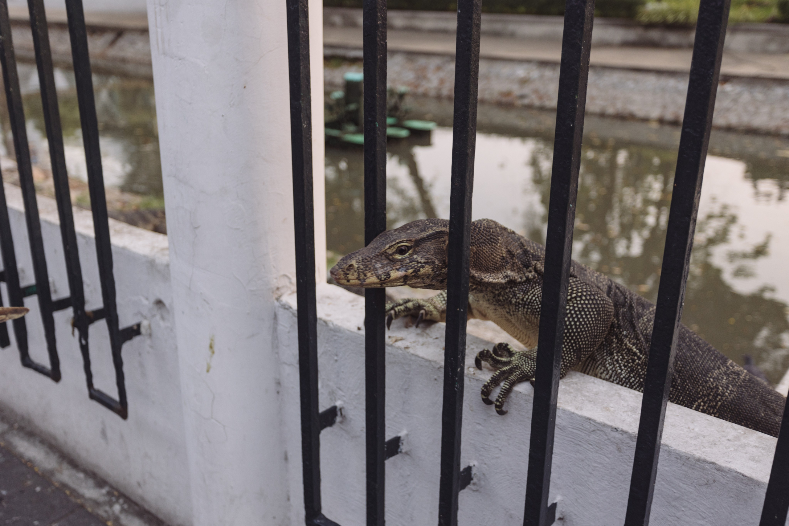 Bangkok. Фотограф Сонкина Татьяна
