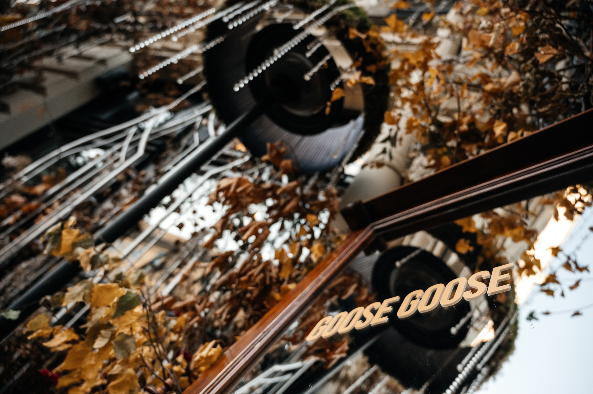 Встреча туроператоров в Goose Goose. Свадебный и семейный фотограф из Санкт-Петербурга Климов Анатолий