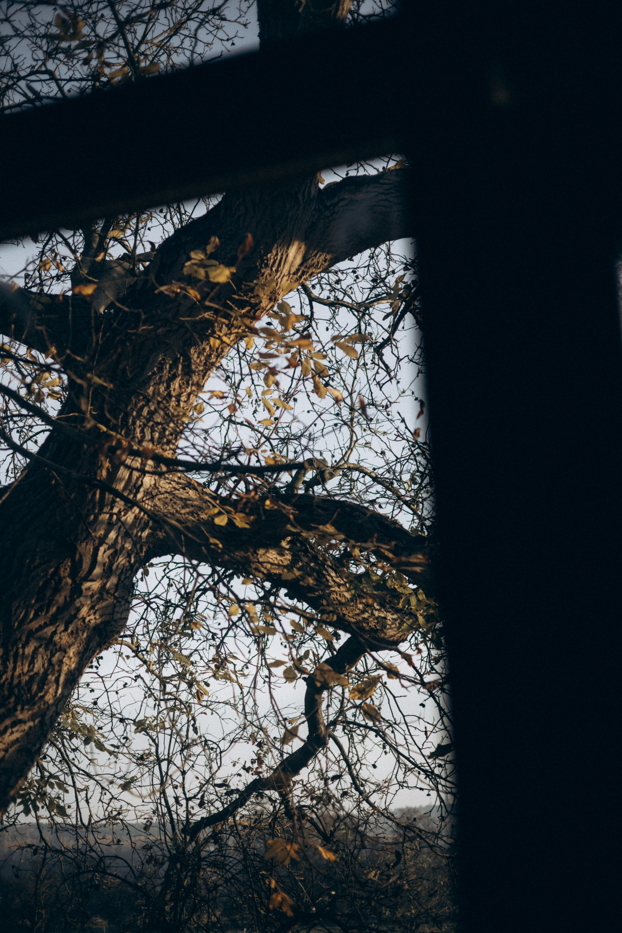 The Hedonist Story | Gastronomic Dinners. Photographer in Prague Alexander Pivovarov