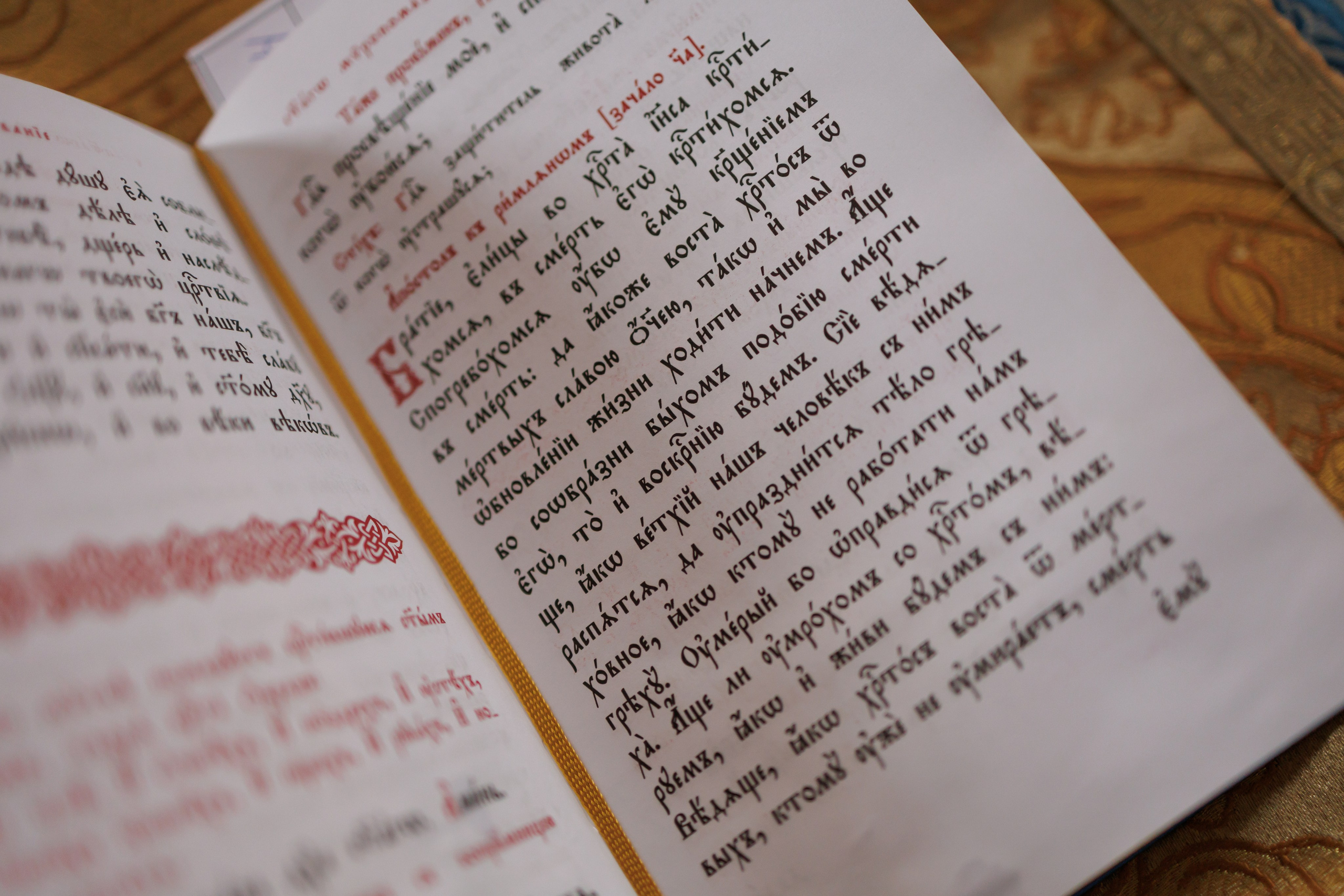 Николь. Свадебный фотограф. Москва. Мытищи