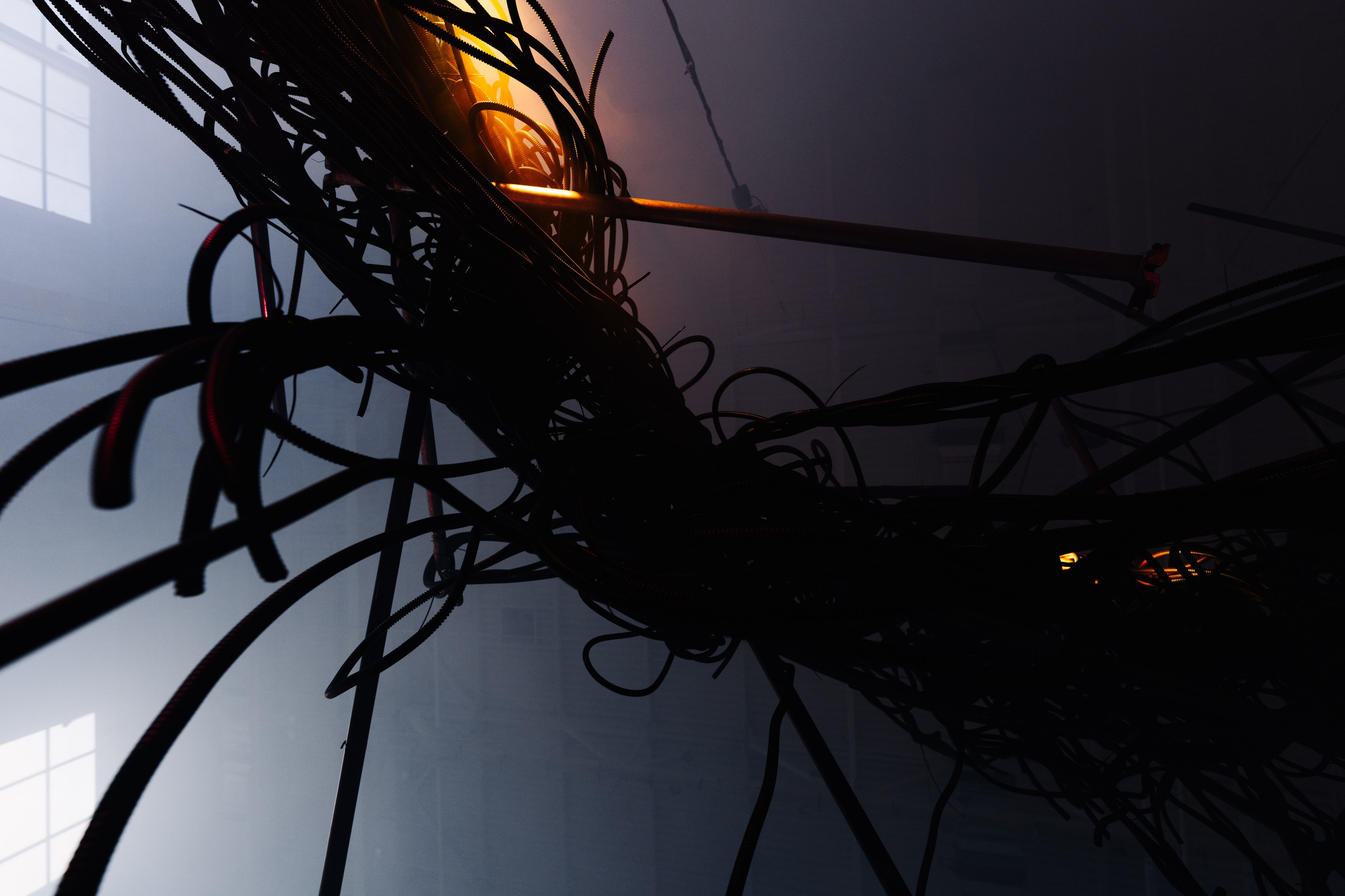 PANTERRA, CHRONOMORPH 001. @tomrus: Рустам Шагиморданов — фотограф