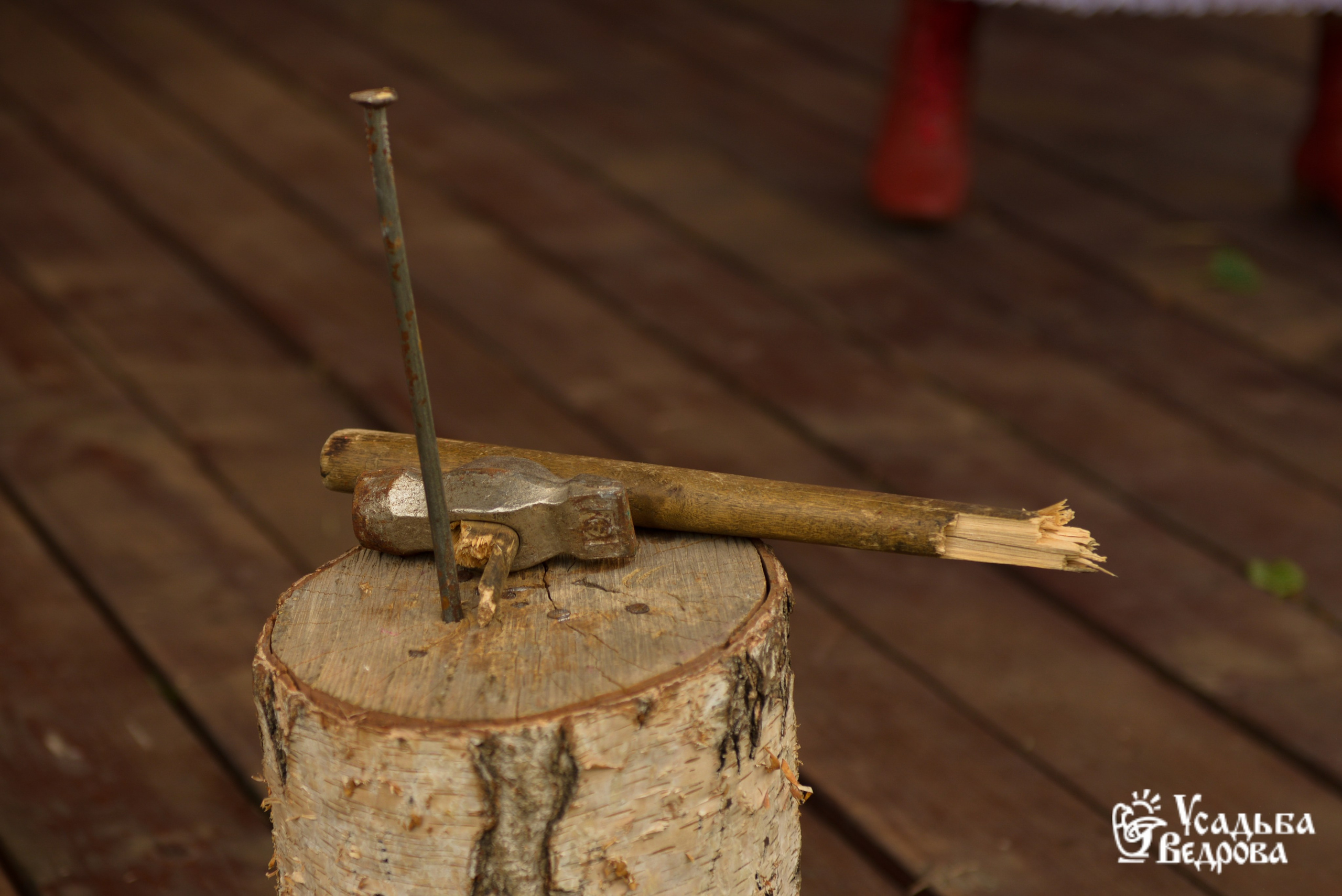 Ведровский погребок 2025. Портретный фотограф Марина Тамбовская