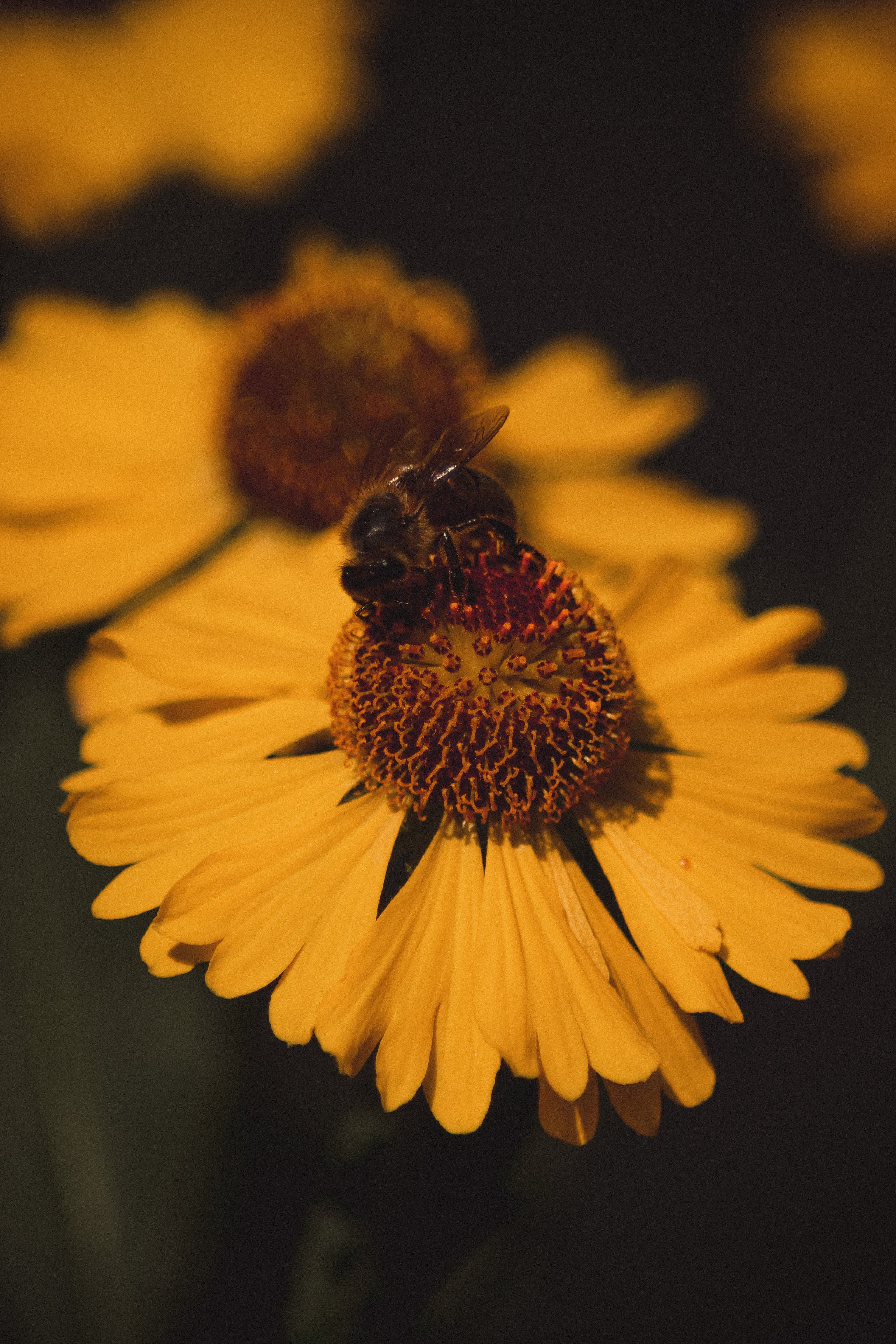 М А К Р О. — Digital Noise —