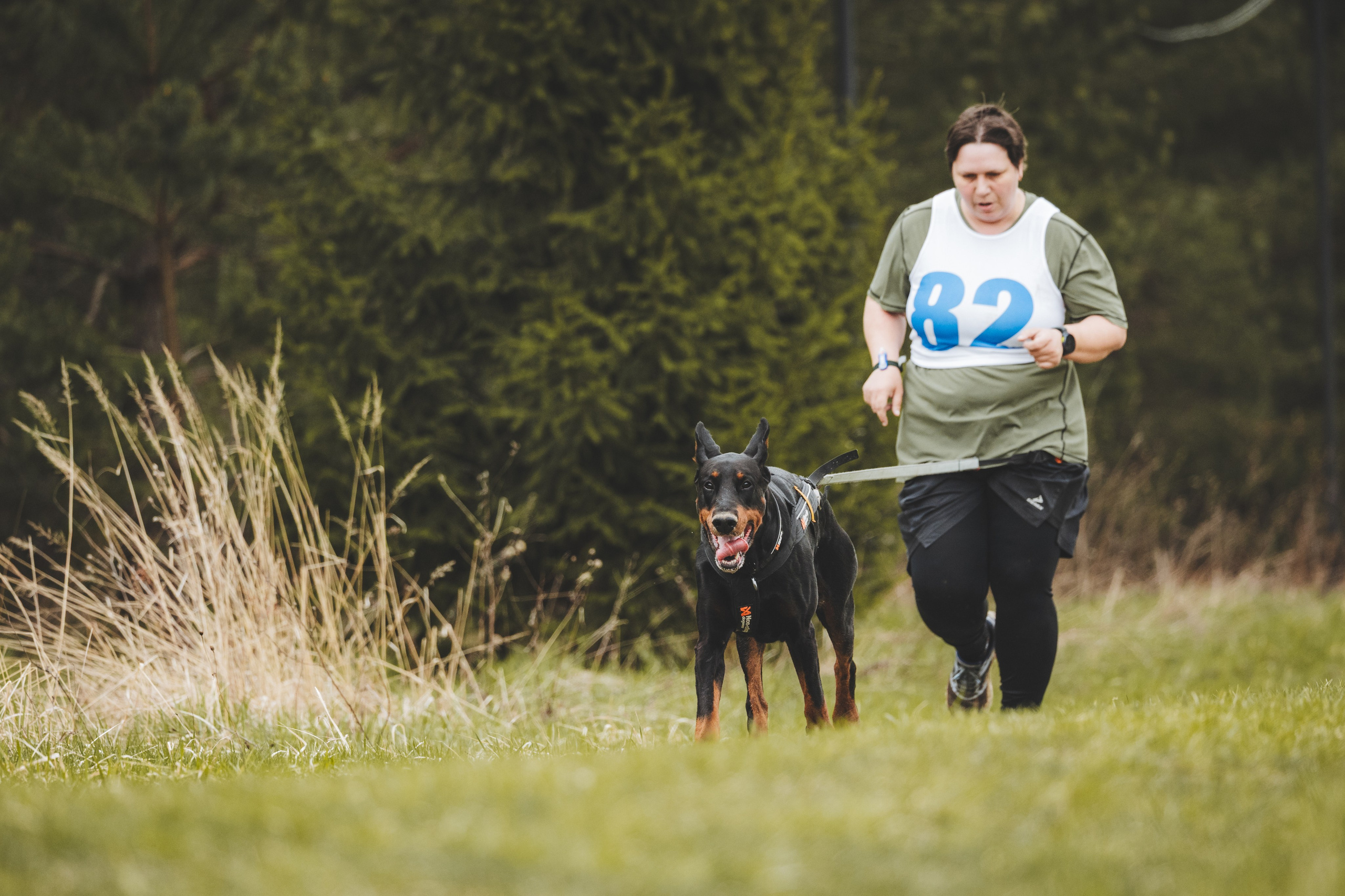 Почёвинский драйдленд. Фотограф Ирина Астор