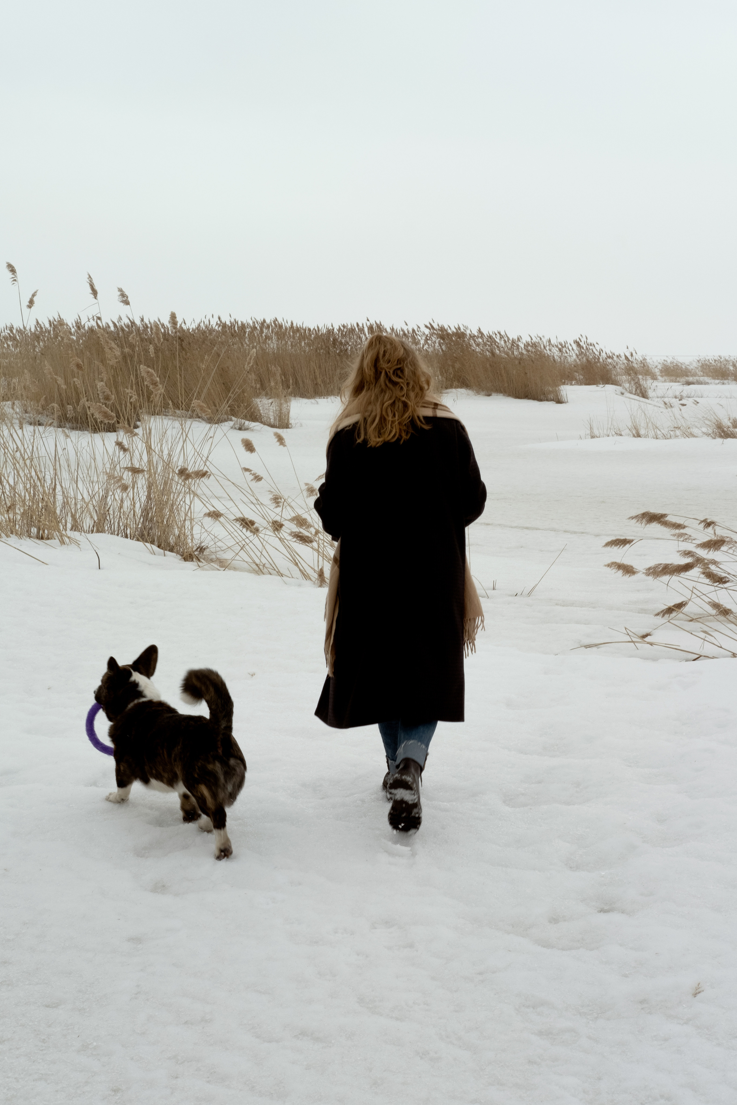 Anya and Artem. Макарцова Валерия — фотограф Санкт-Петербург, Москва