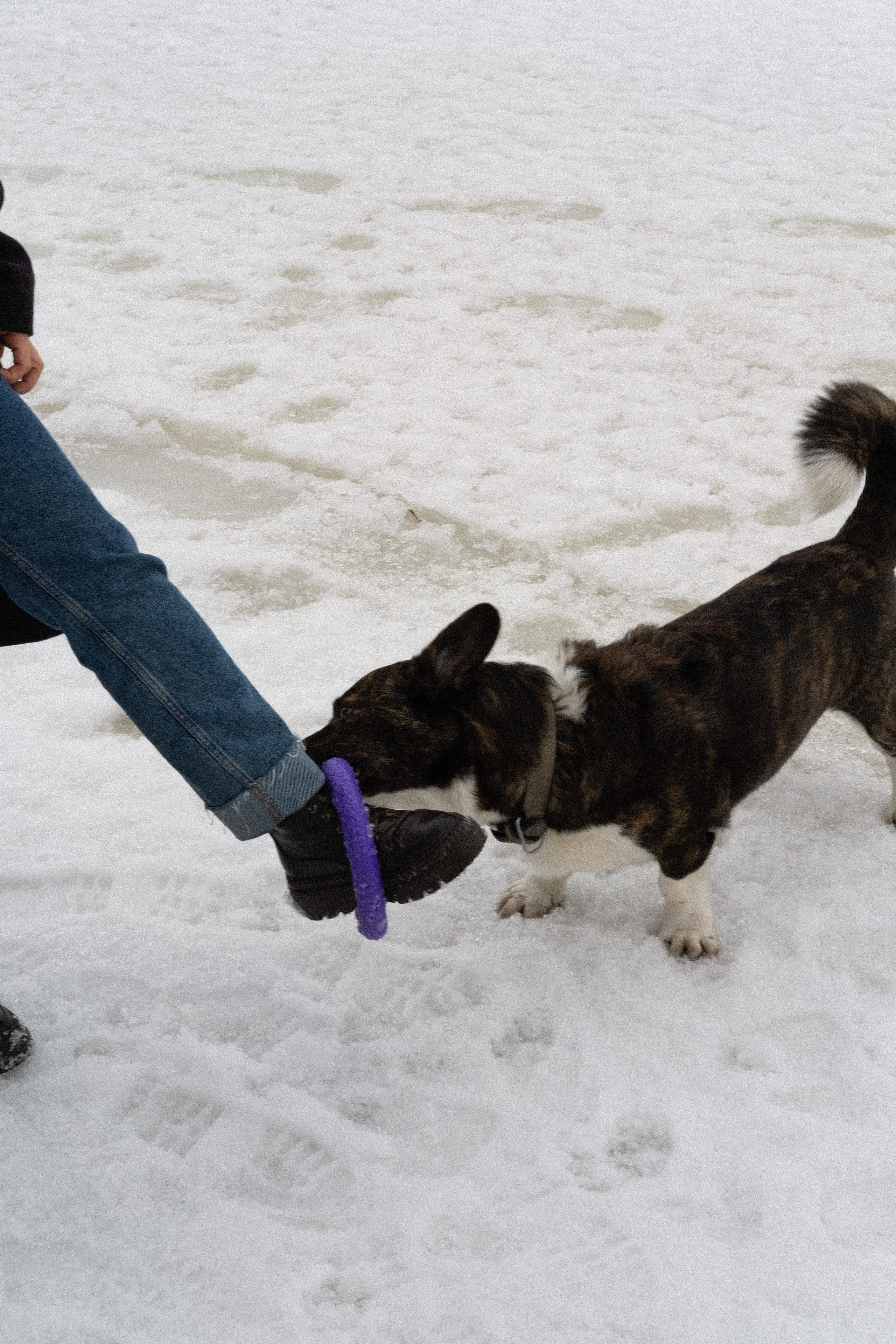 Anya and Artem. Макарцова Валерия — фотограф Санкт-Петербург, Москва