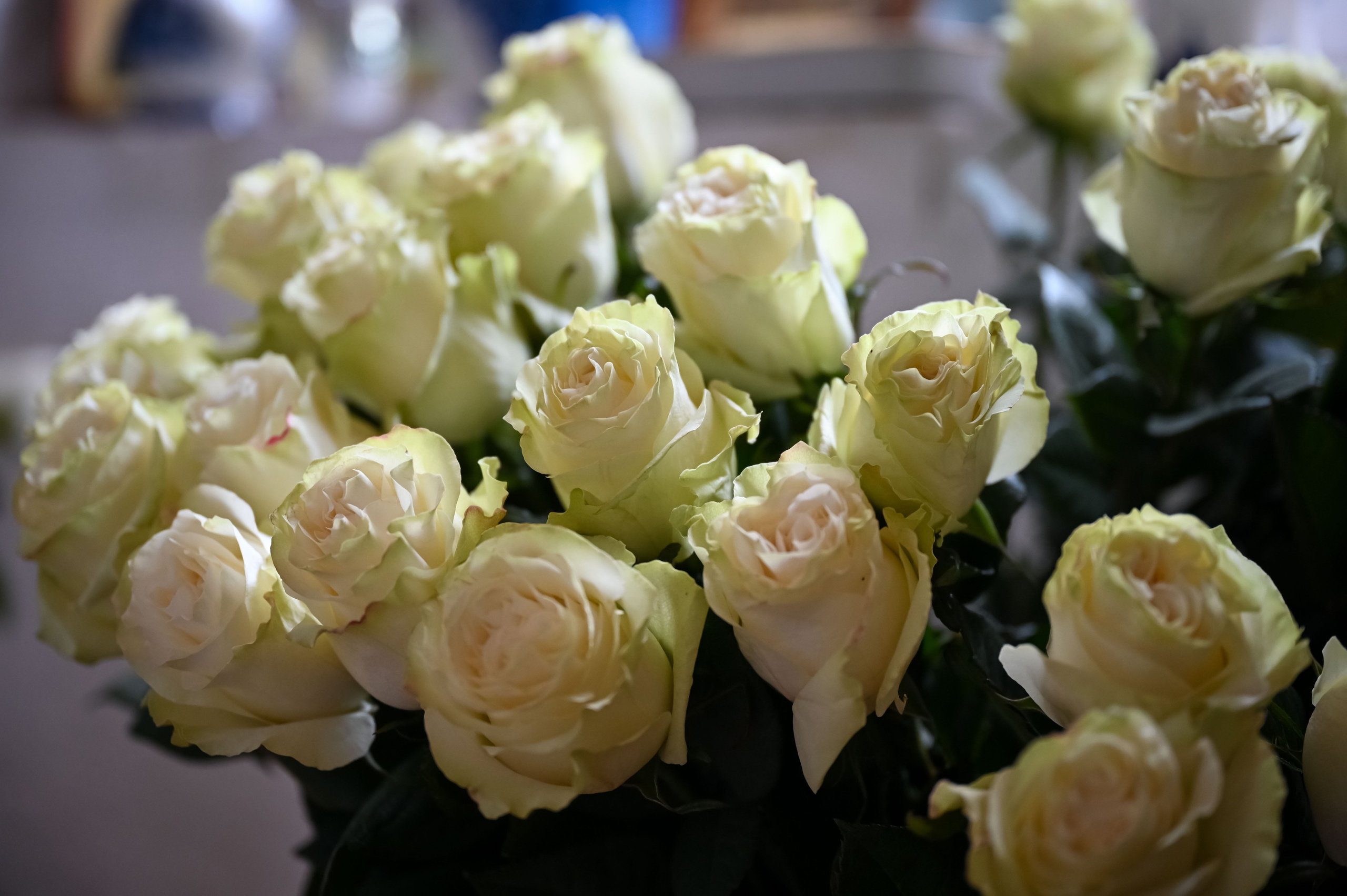 Митрополит Крутицкий Коломенский Павел в Георгиевском храме с. Ванилово. Семейный фотограф в г. Воскресенск Наталия Молева