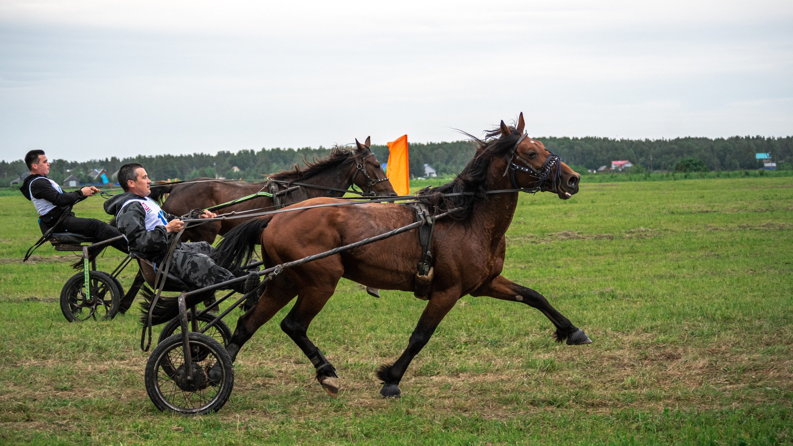 Луд 2023. Фотограф в с. Ижма Республика Коми Терентьев Сергей