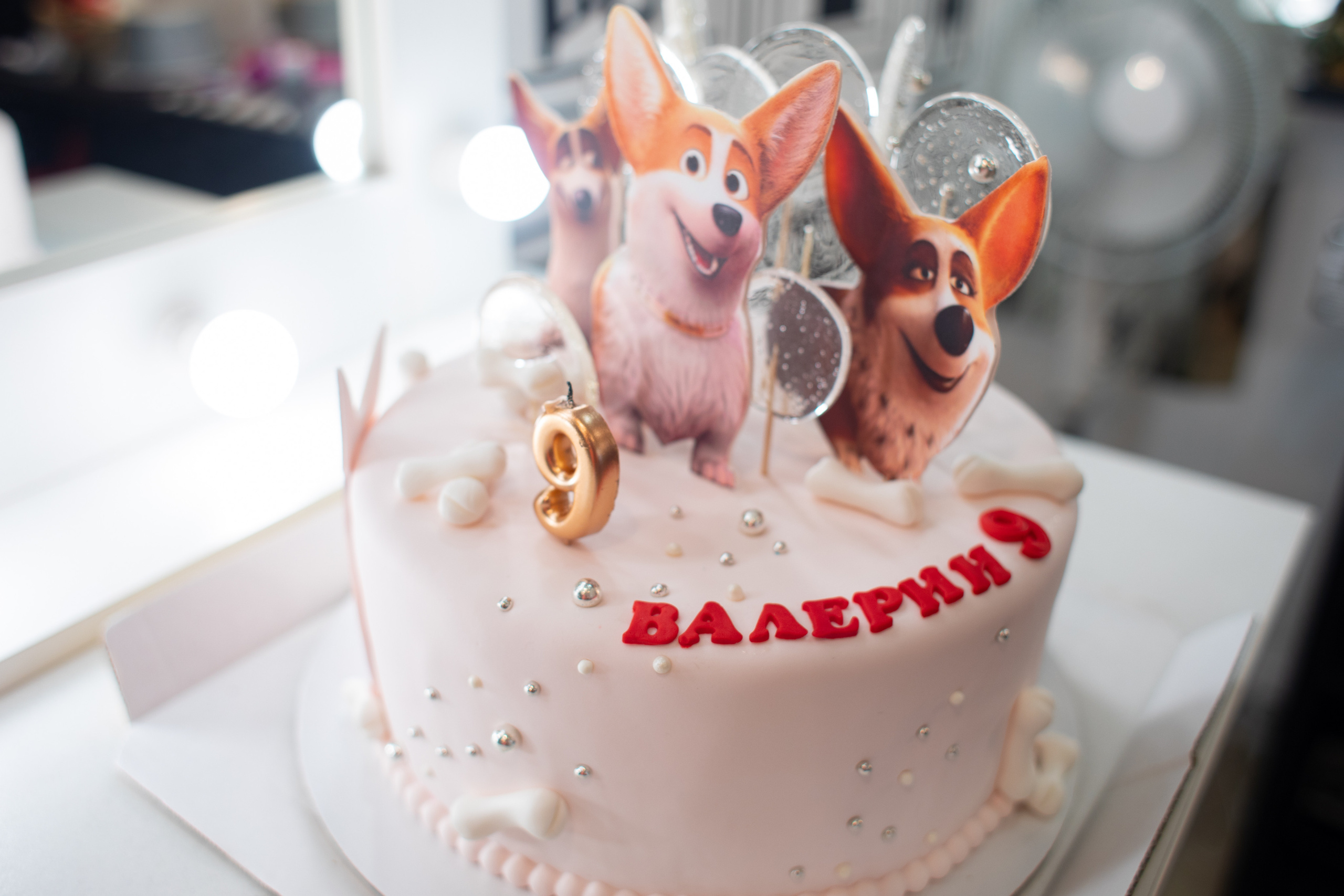 Киношкола «ЛИК». Семейный фотограф в Санкт-Петербурге Ева Маркова