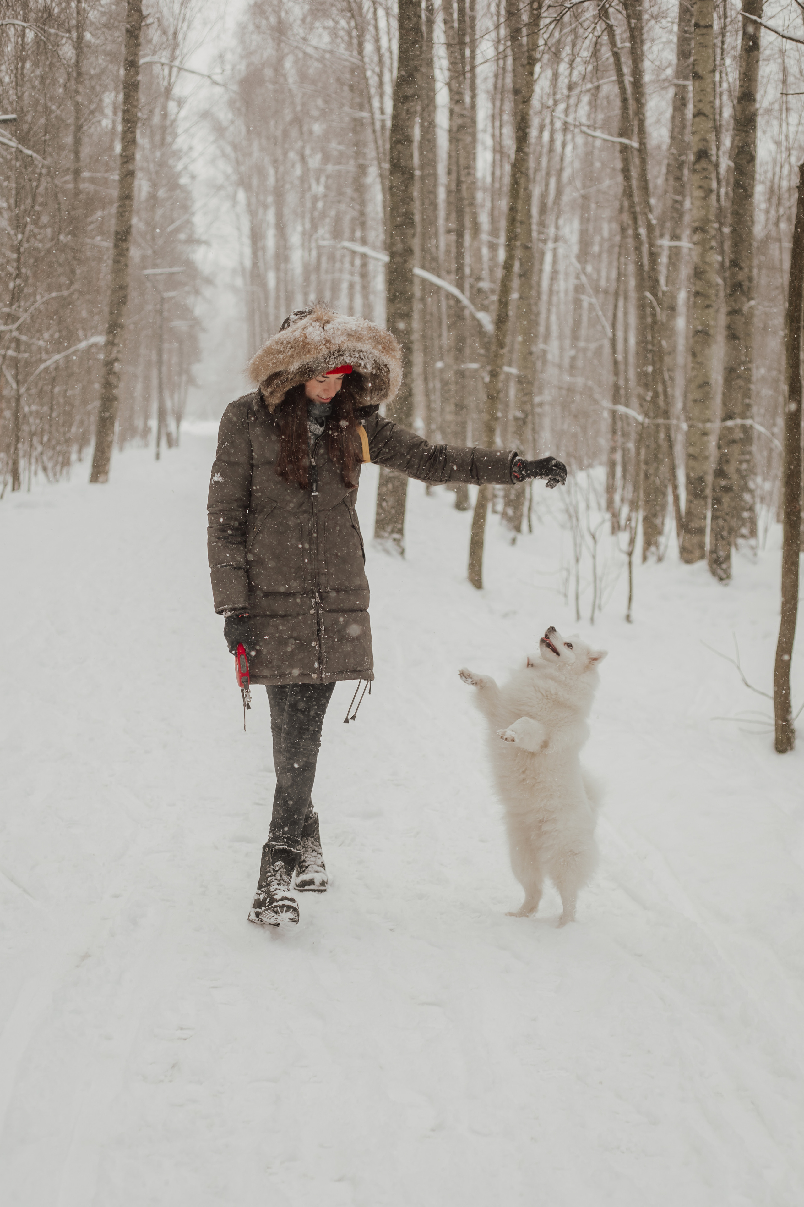 Зимняя прогулка с любимцем. Семейный фотограф в Санкт-Петербурге Ева Маркова