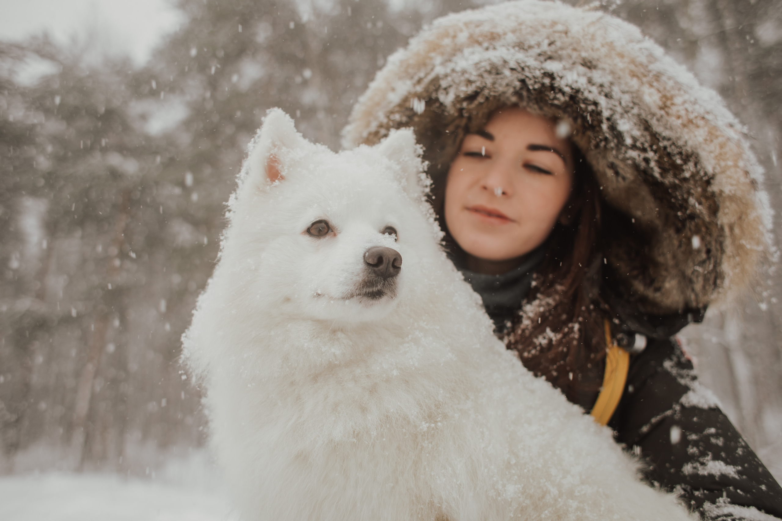 Зимняя прогулка с любимцем. Семейный фотограф в Санкт-Петербурге Ева Маркова