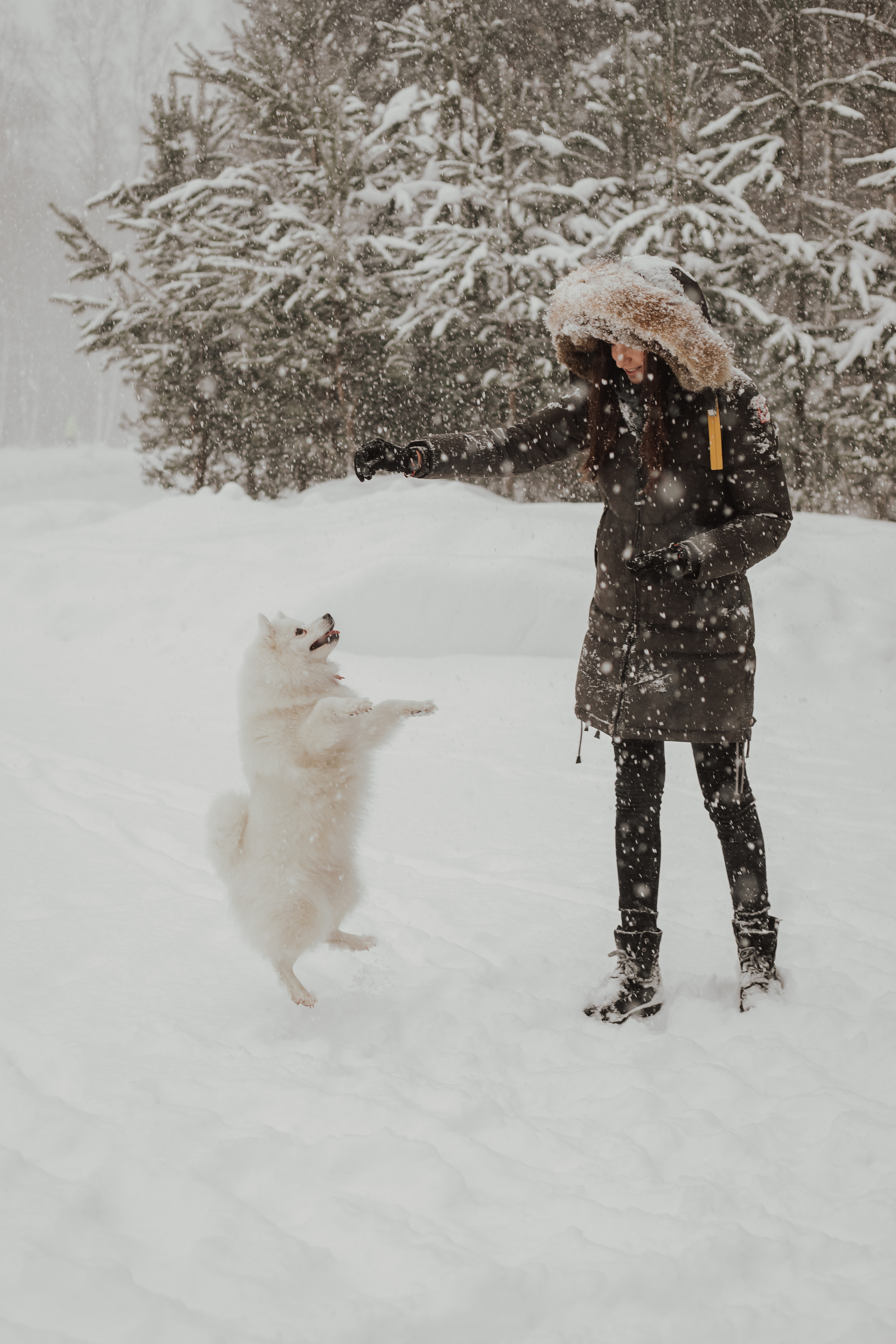 Зимняя прогулка с любимцем. Семейный фотограф в Санкт-Петербурге Ева Маркова