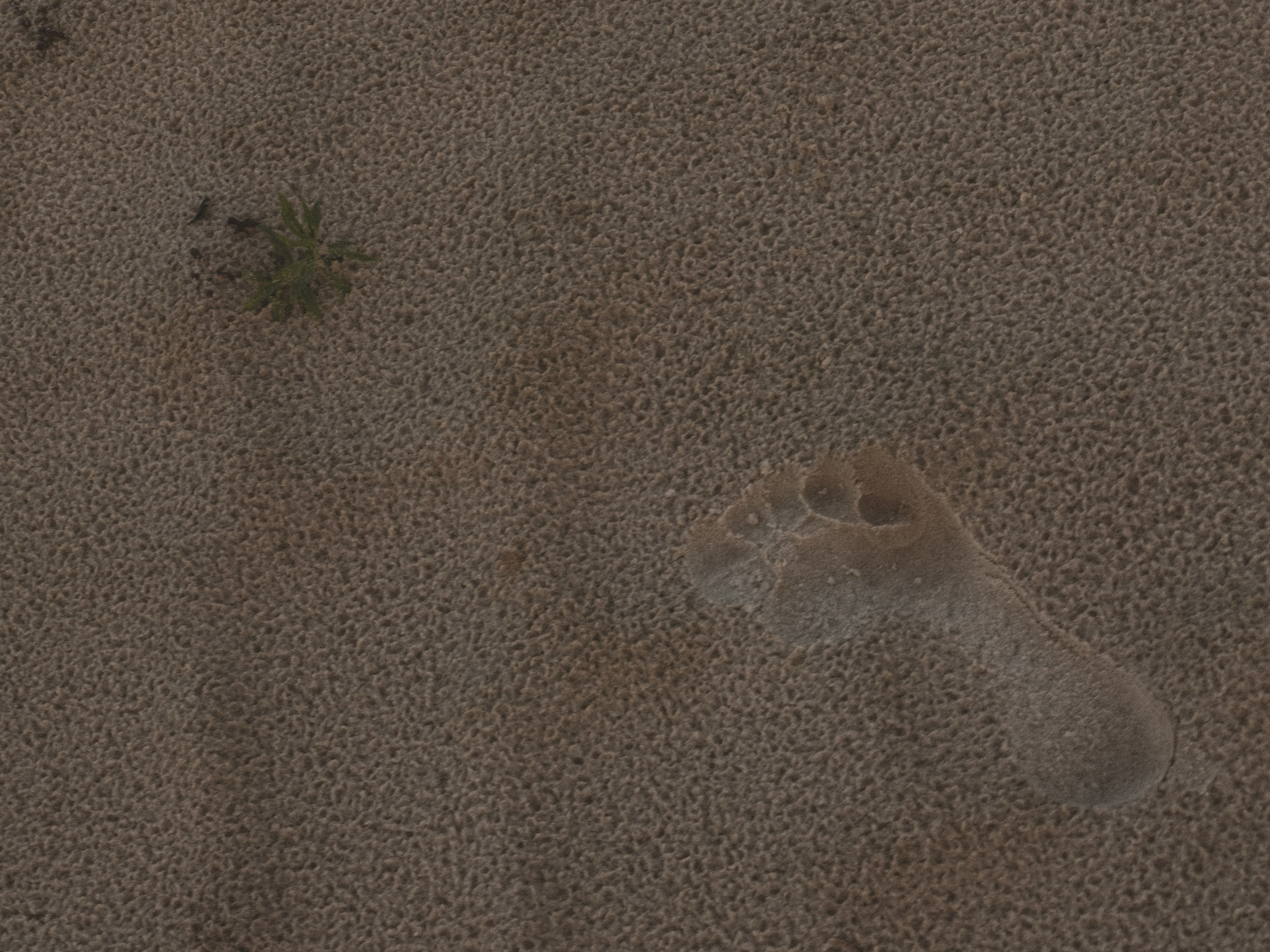 Творческая съемка Inci Ask. Анастасия Шумских [креативный продюсер]