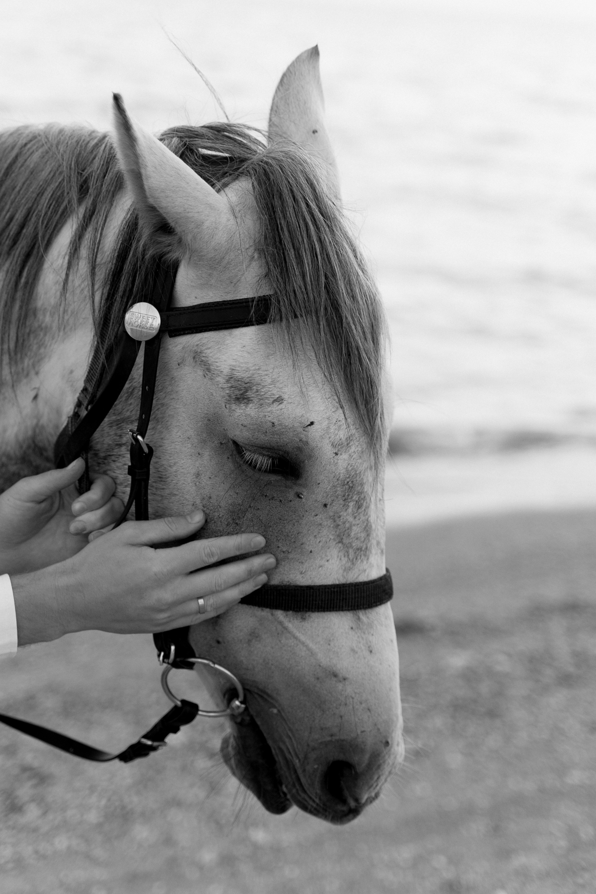 Love horses. Свадебный фотограф Корощенко Екатерина