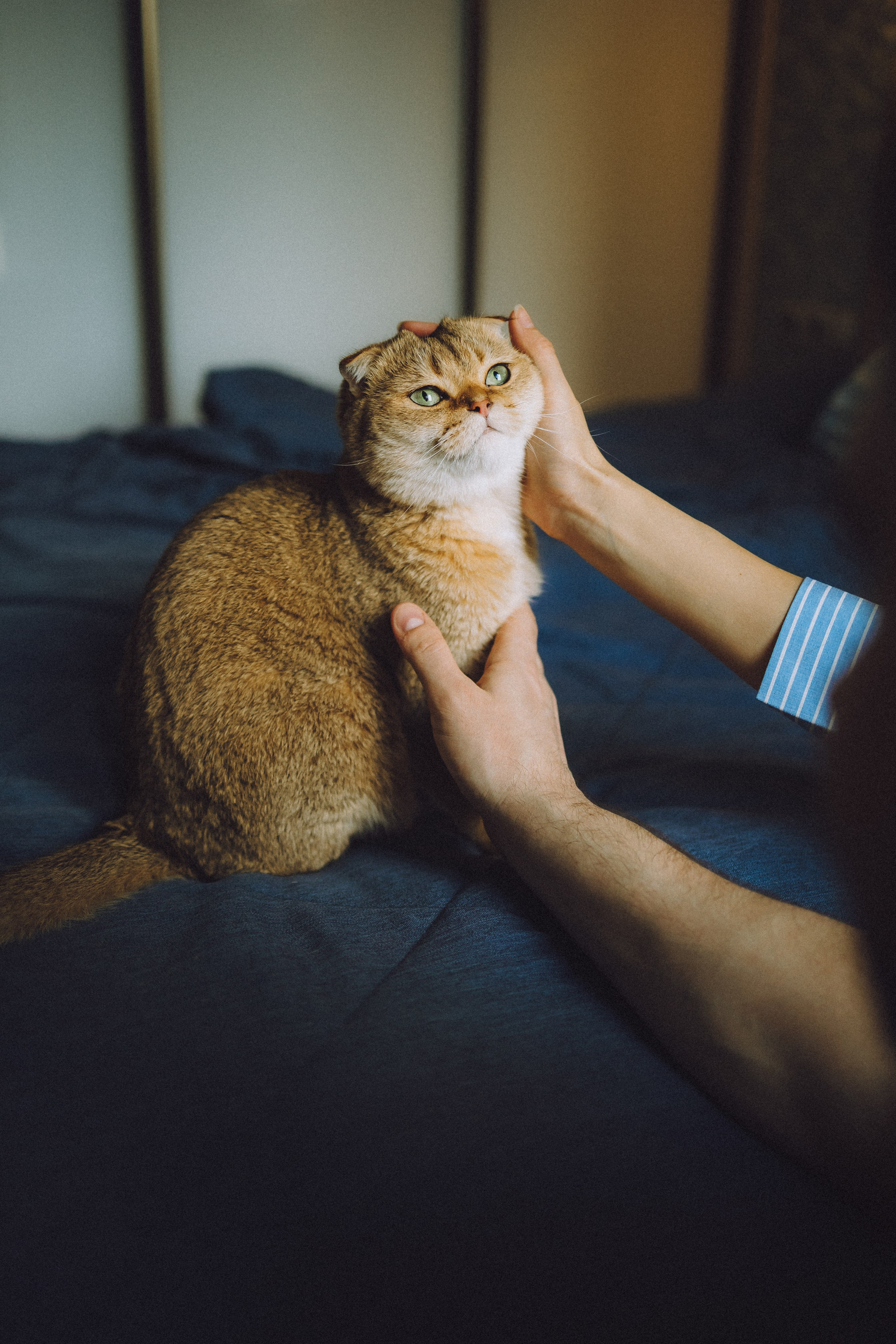 Генри и его семья