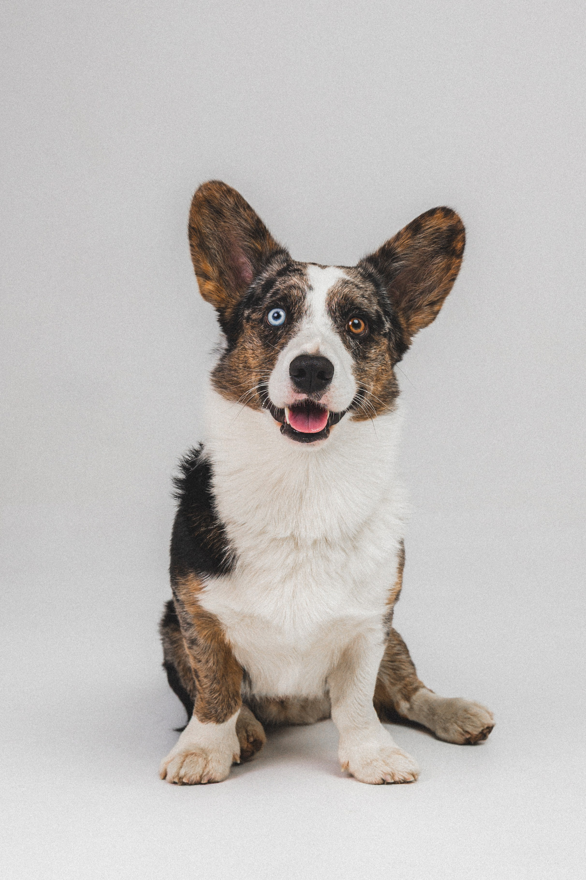 Анатолий и Рагнар