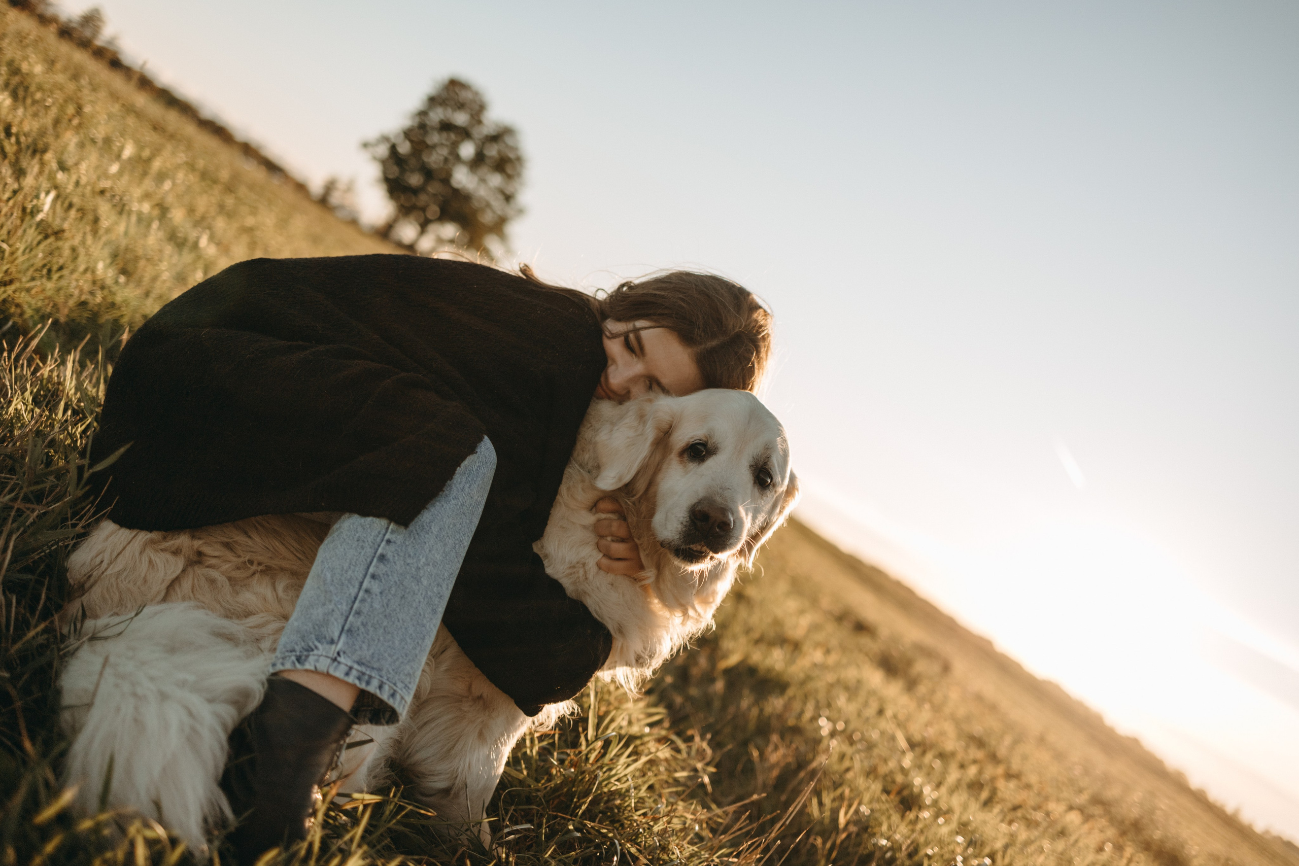 Лера и Скай. Фотограф — Анималист | Санкт-Петербург