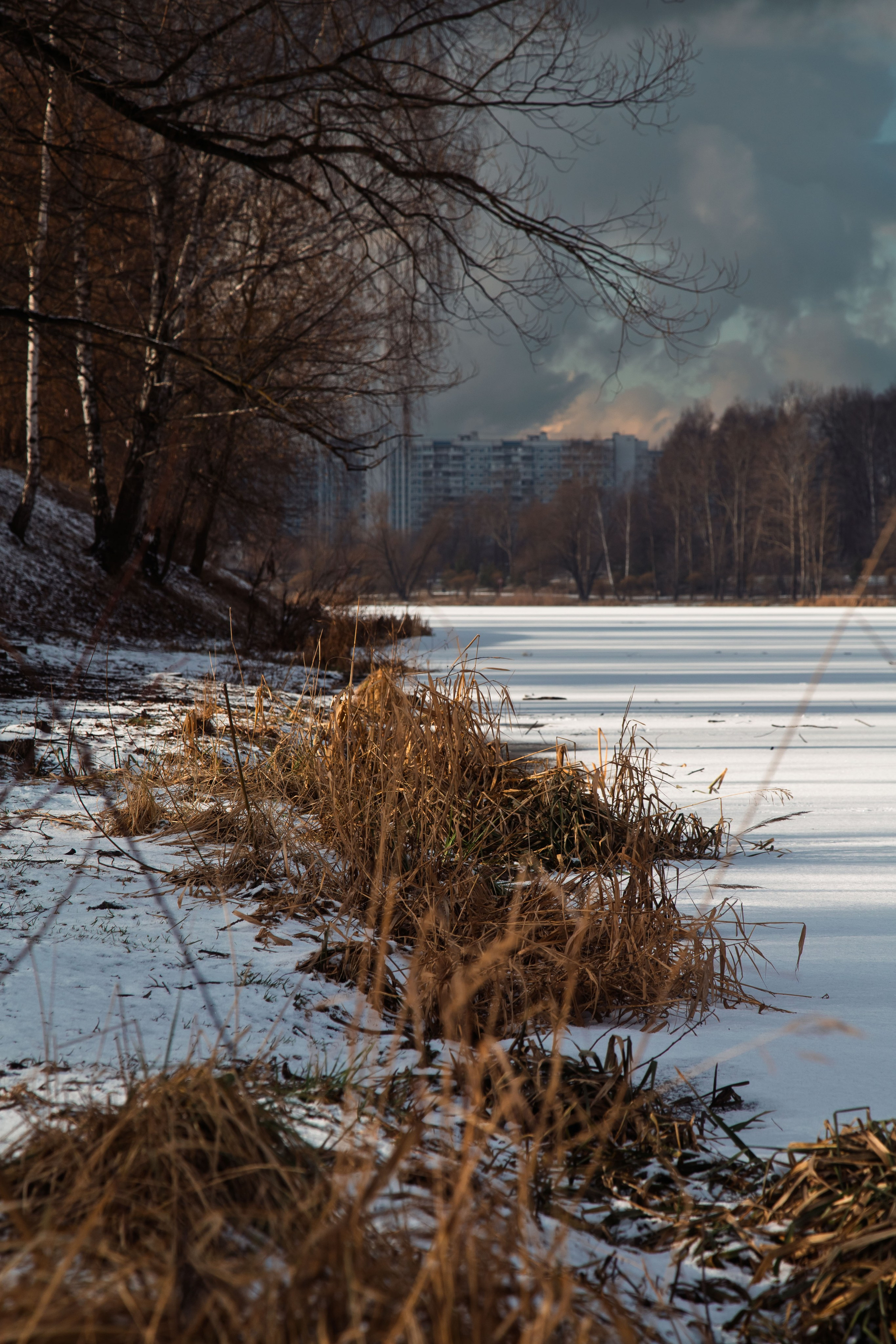 Осенняя зима. Dmitriy [KCCC] is a pretty cool photographer