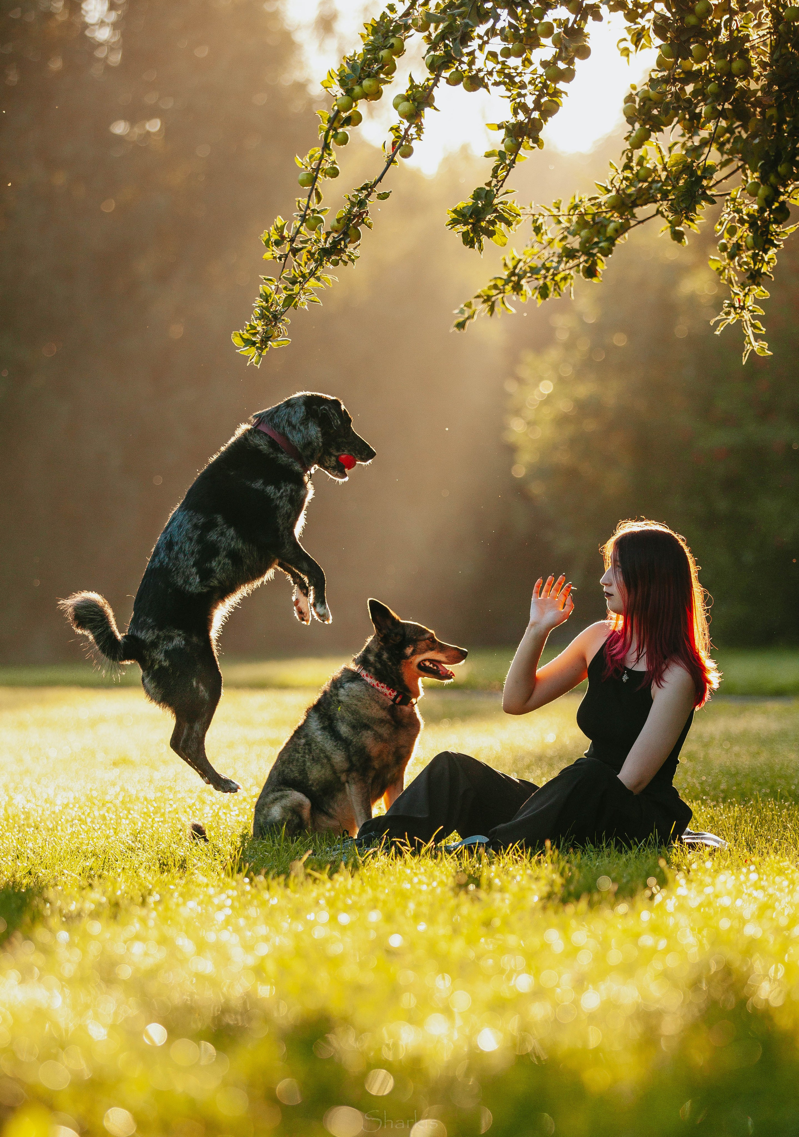 Вега и Гриша. Главная