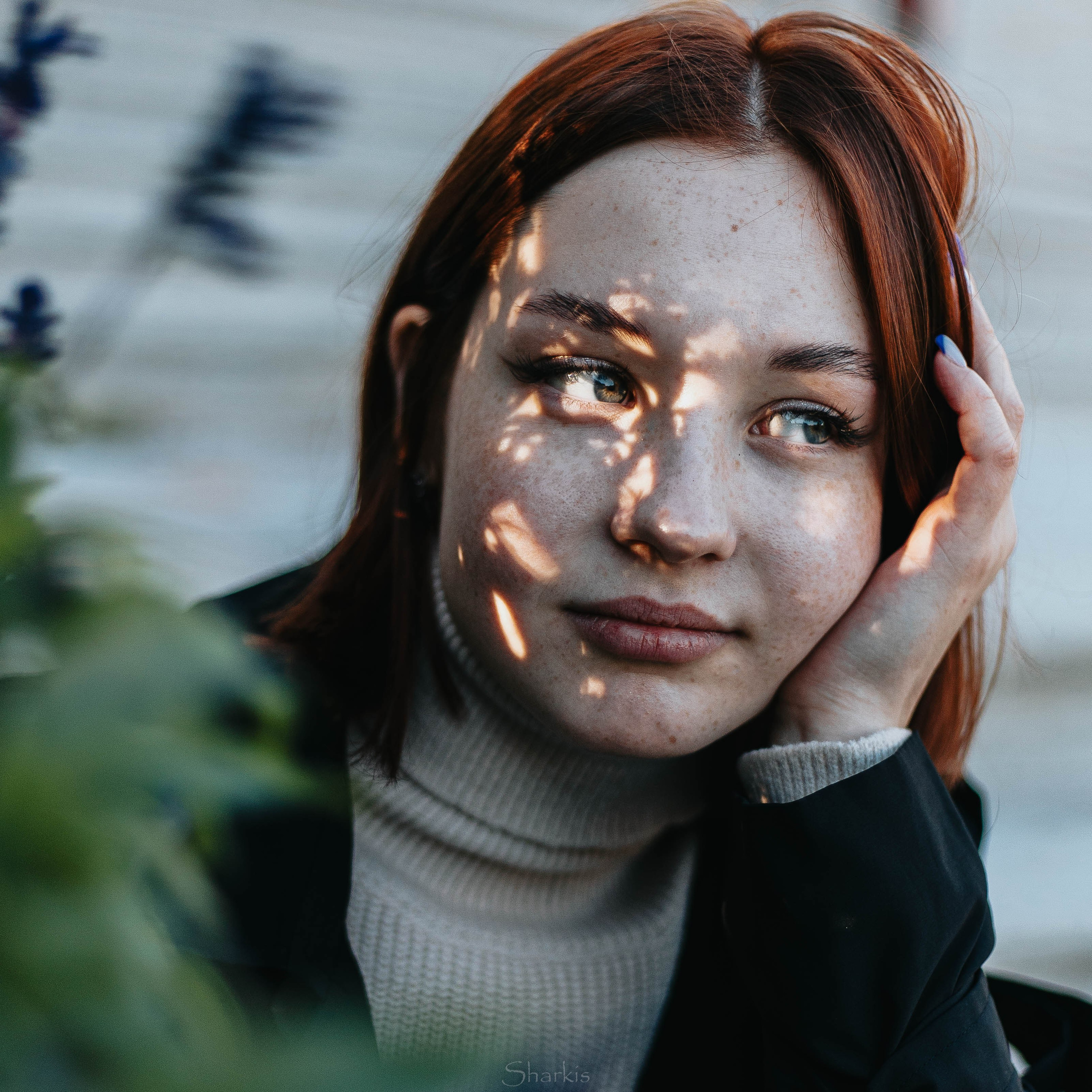 Света. Главная