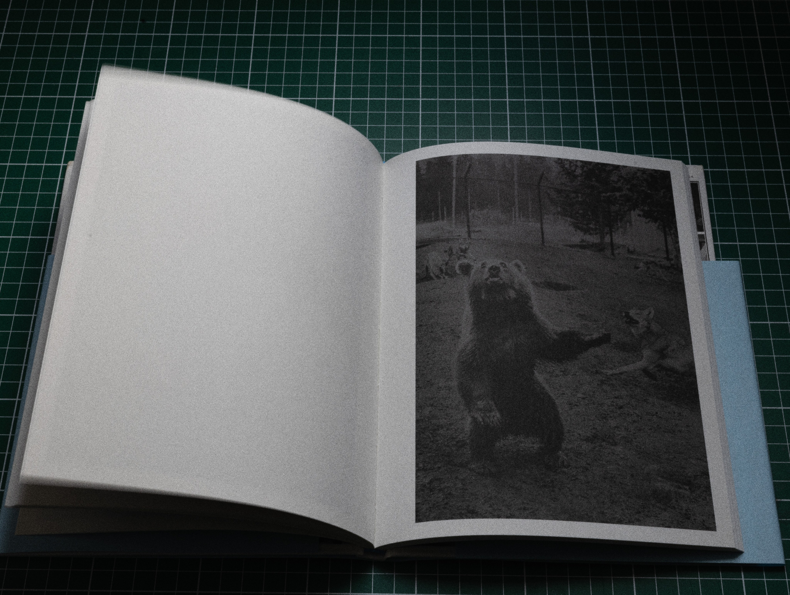 Фотокнижная библиотека Светы Кавериной. Фотограф и исследователь фотографии из Санкт-Петербурга Елизавета Веприцкая