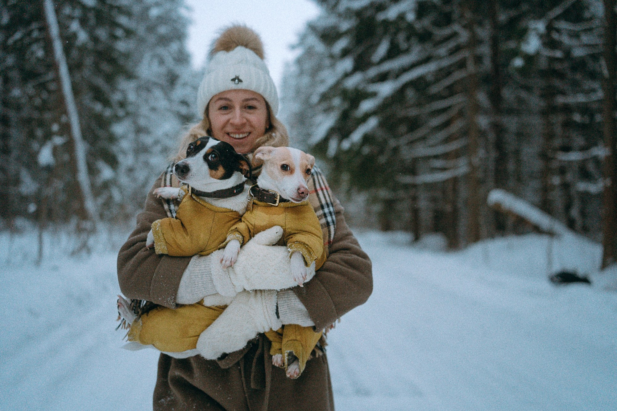 Алина, Ваниль и Элис. Фотограф анималист в Москве и Санкт-Петербурге Свиридова Анна
