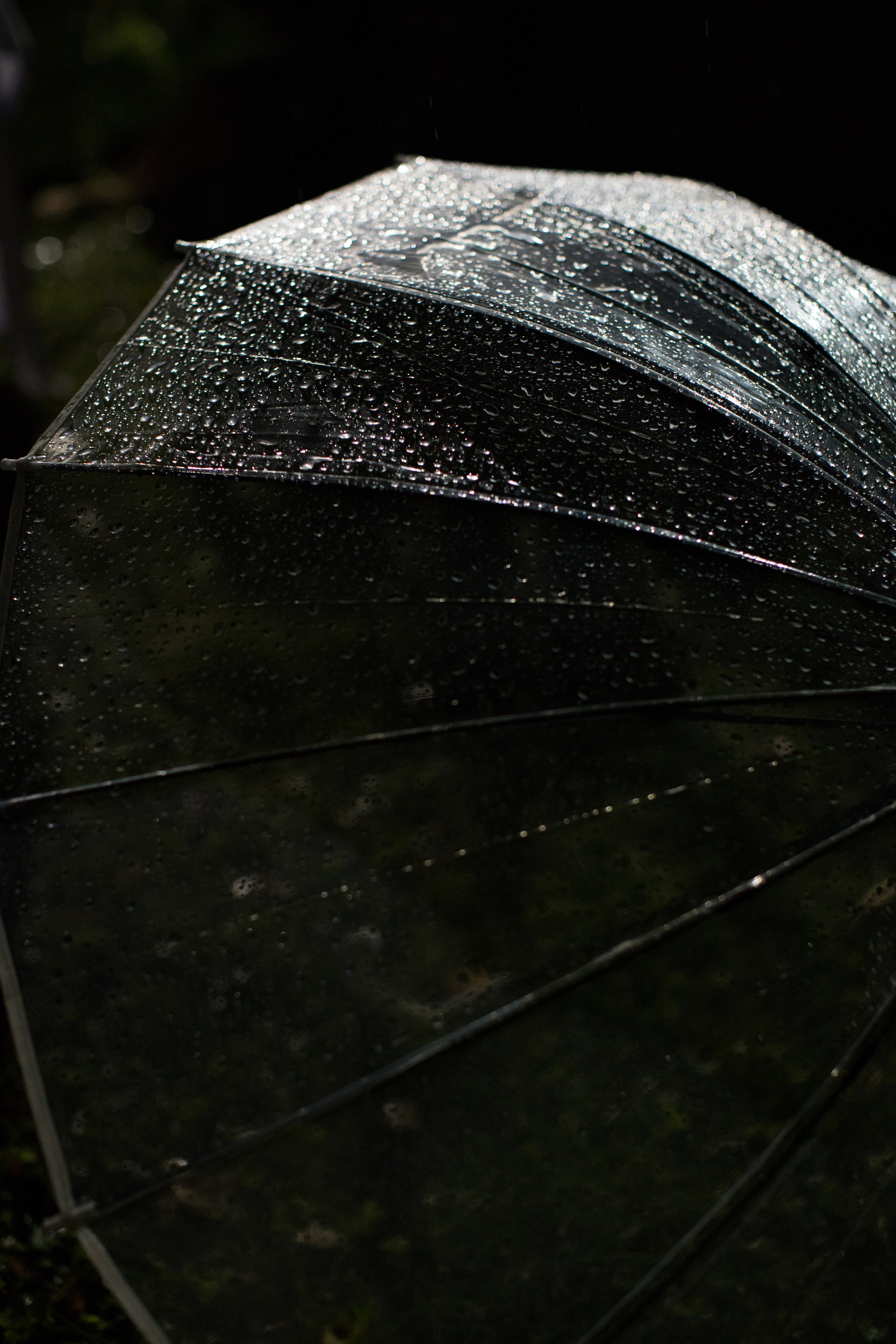 Свадьба Сергей и Ангелина. Анастасия Давыдова