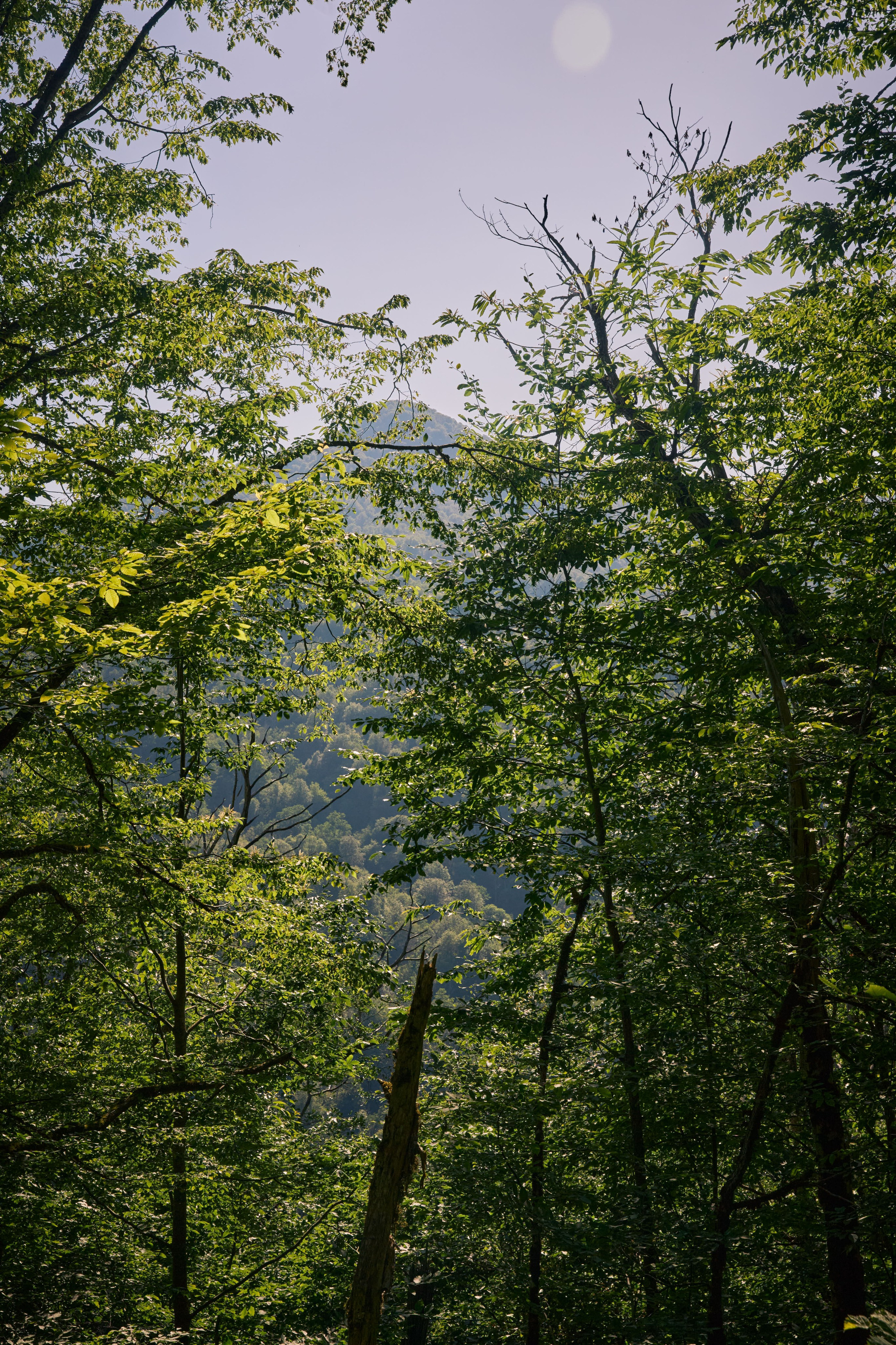 Съемка мероприятия на природе. Индивидуальный фотограф в Сочи Владимир Чудинов