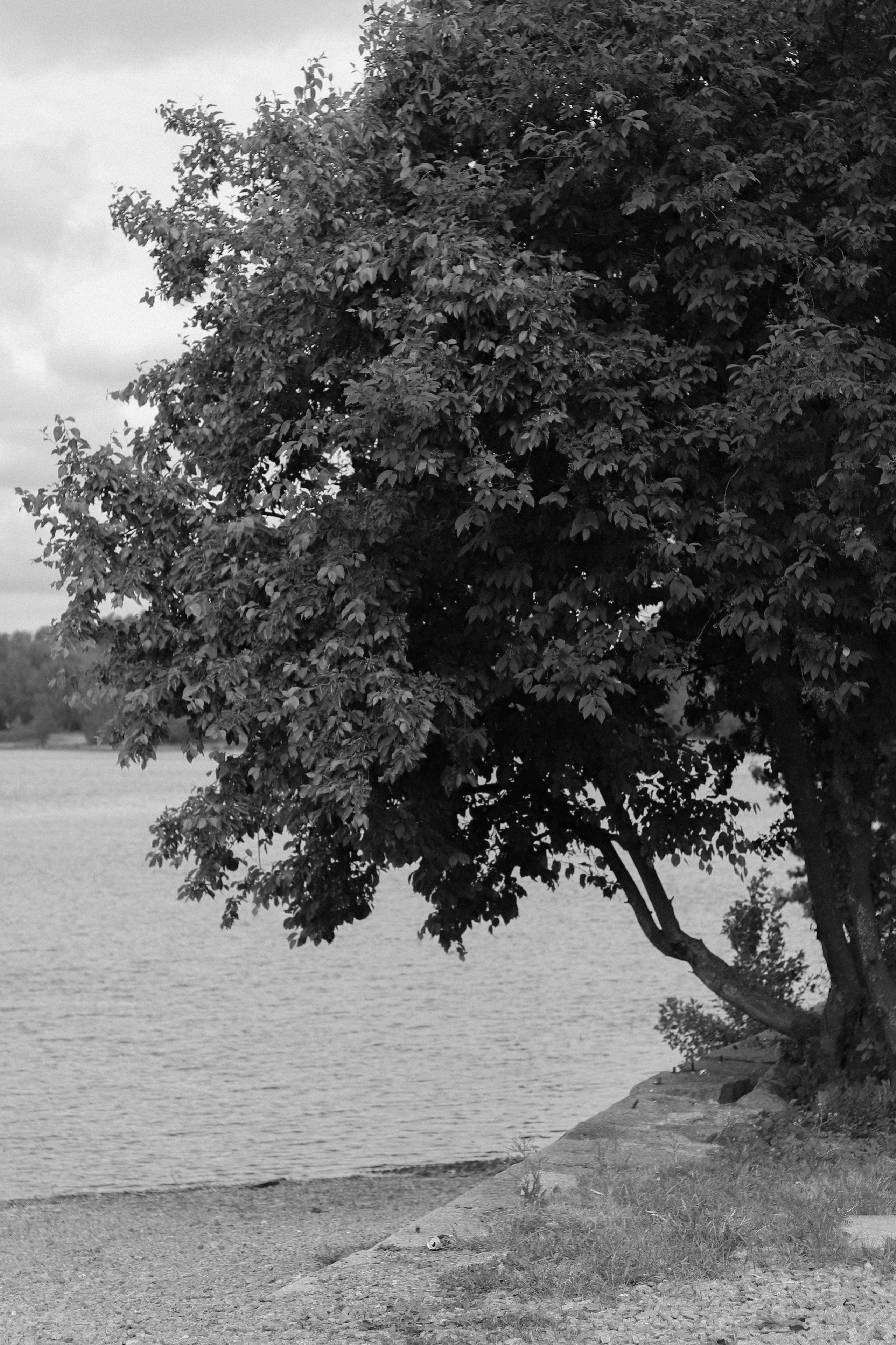 Contour. Фотограф и исследователь фотографии из Санкт-Петербурга Елизавета Веприцкая