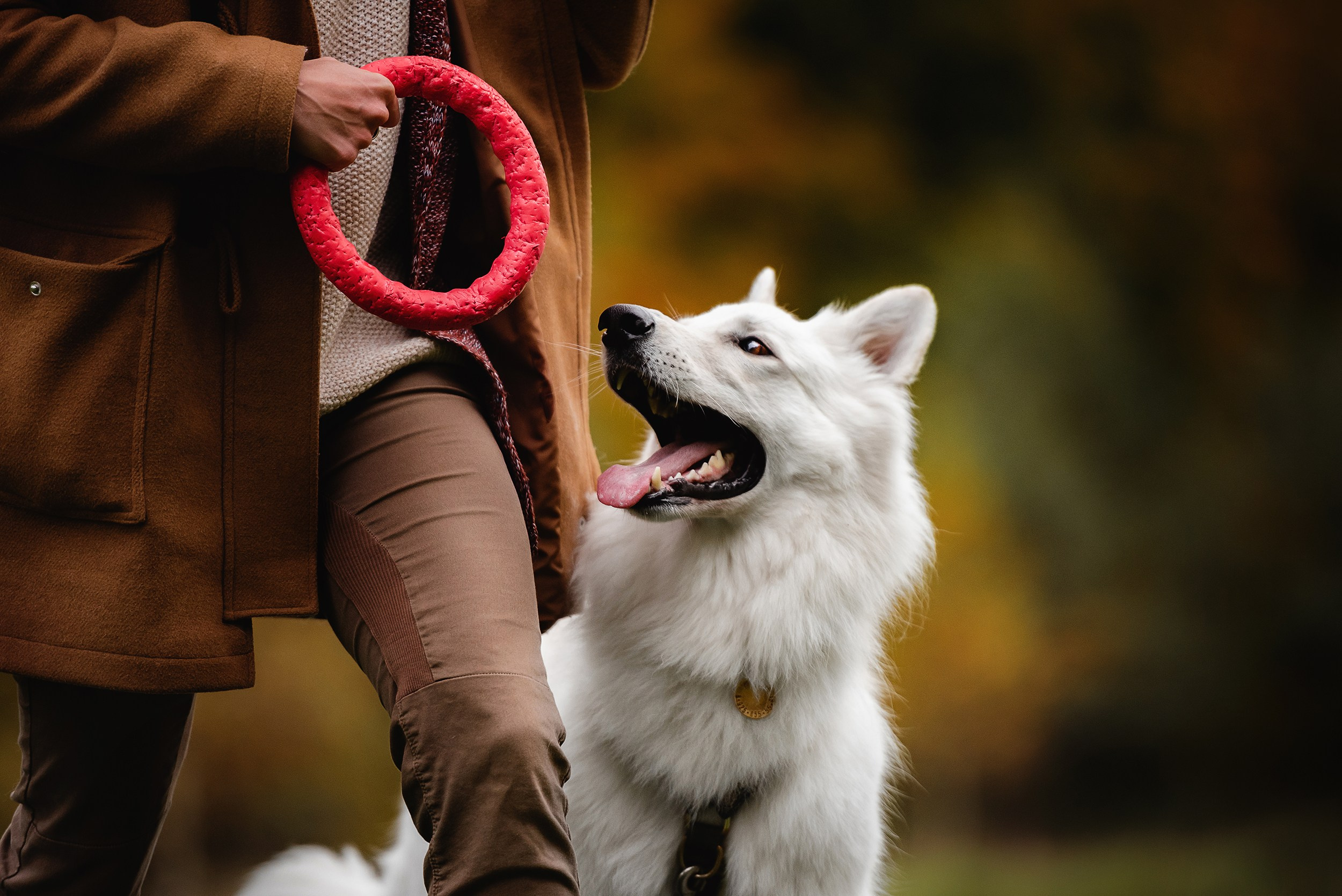 Катя и Джек. Семейный Фотограф в Москве Ирина Хохлова