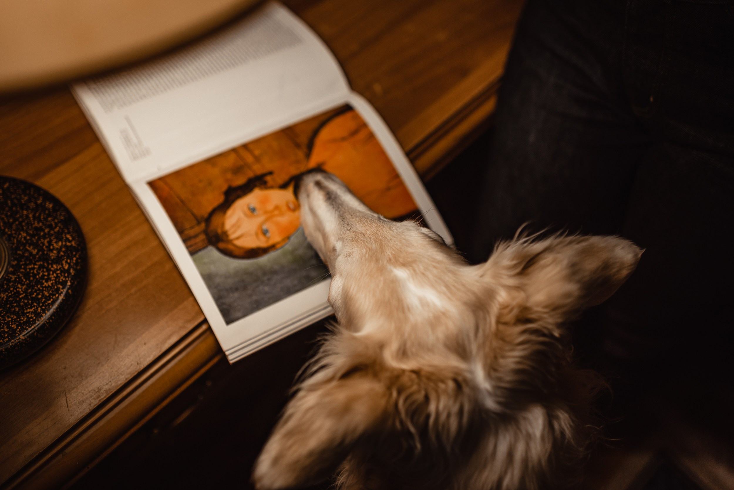 Квартира с картинами. Алиса, Андрей и их пушистая семья. Семейный Фотограф в Москве Ирина Хохлова