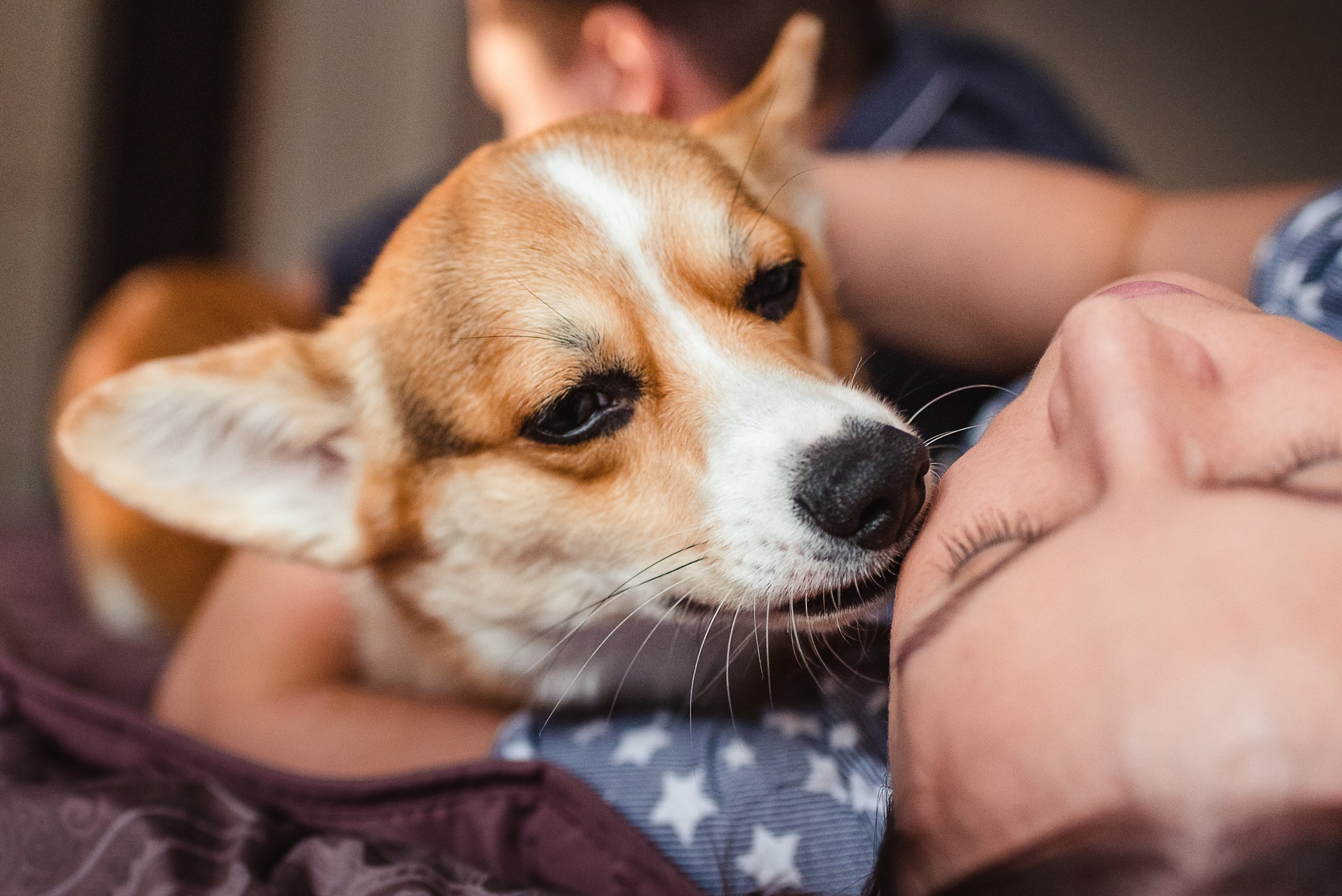 Пижамная вечеринка Тани и Димы. Семейный Фотограф в Москве Ирина Хохлова