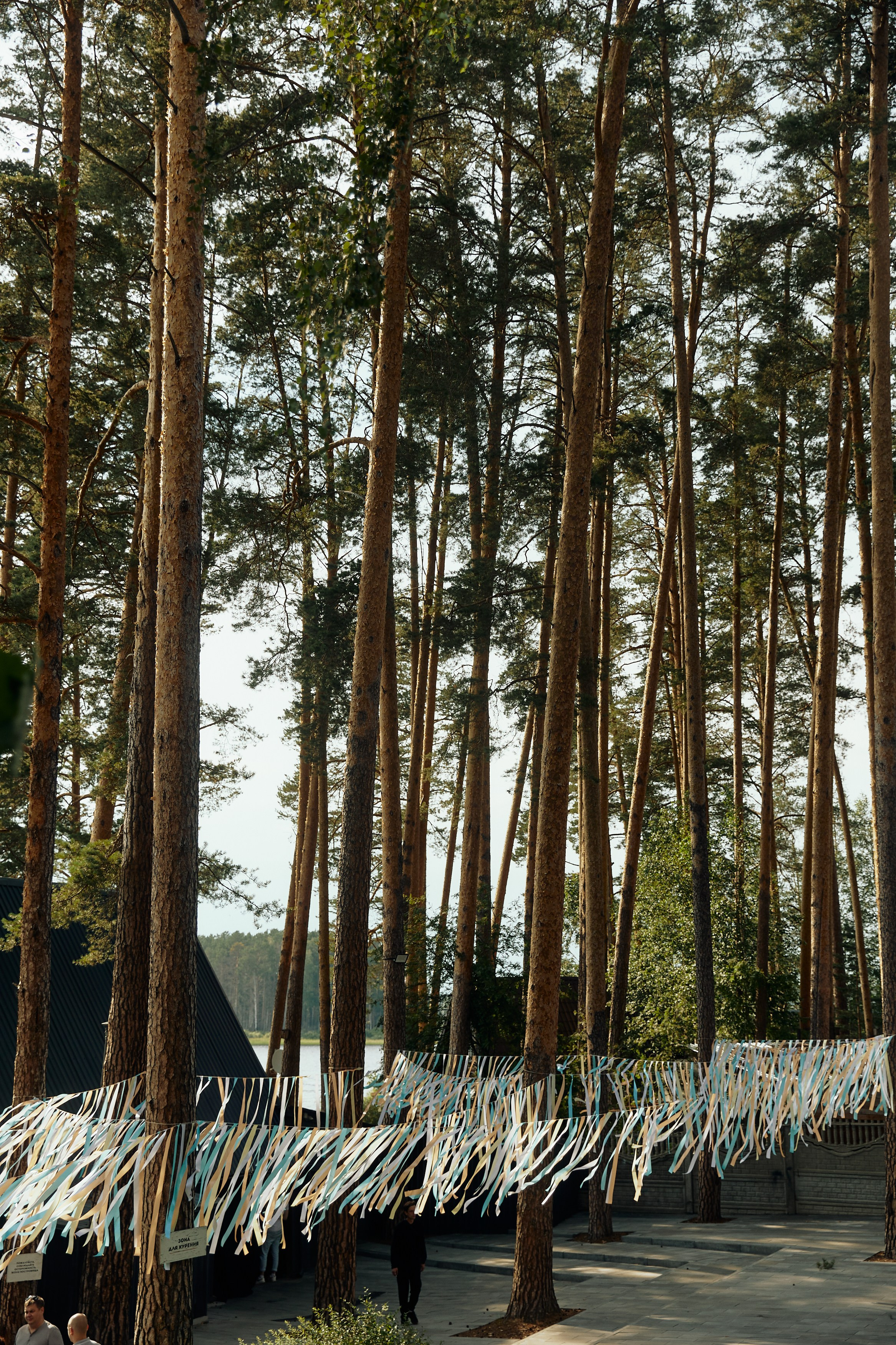 BG. Дмитрий Мазуркевич: Профессиональный Репортажный Фотограф