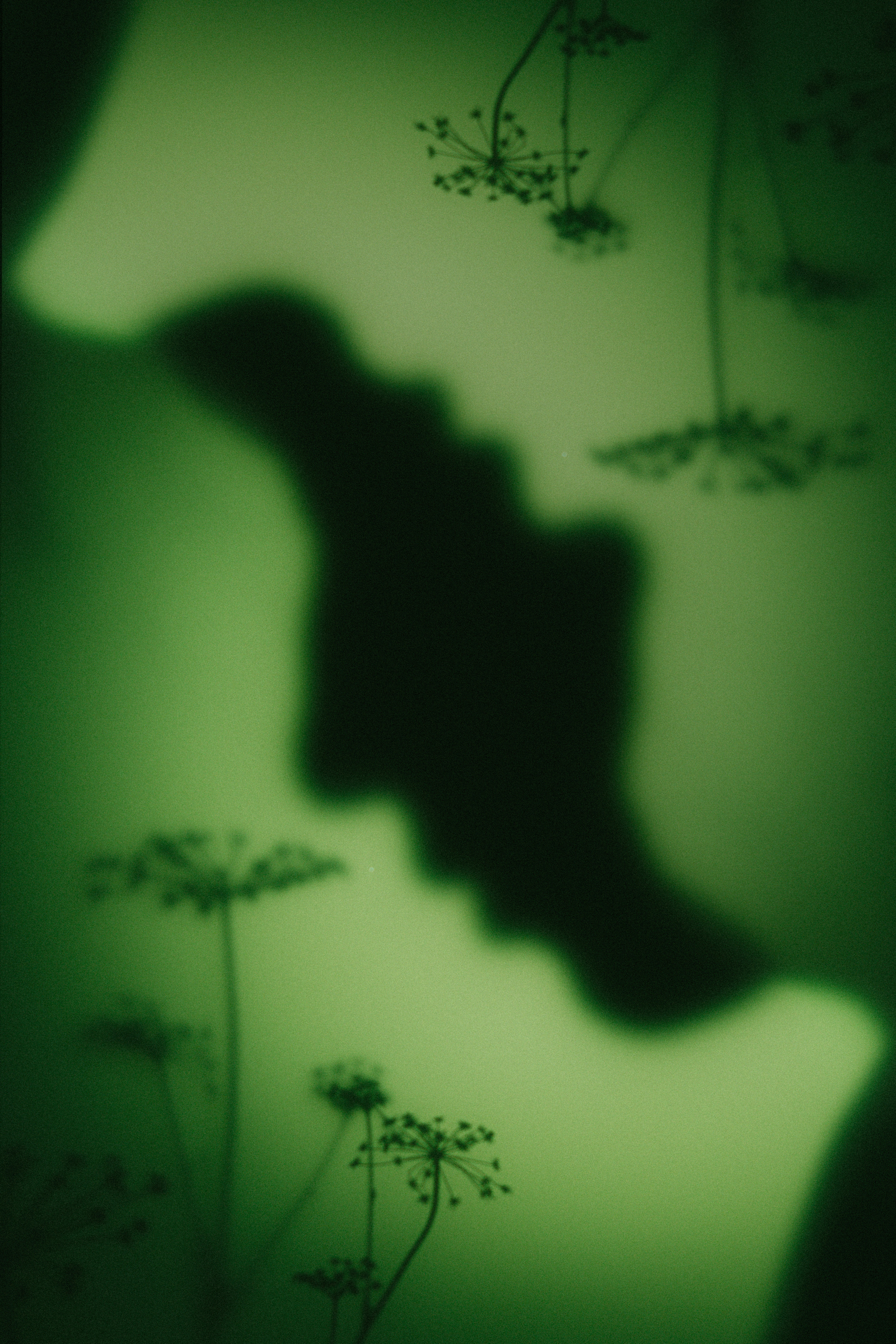 Взгляд на саму себя. Портретный фотограф в Самаре Анна Силютина