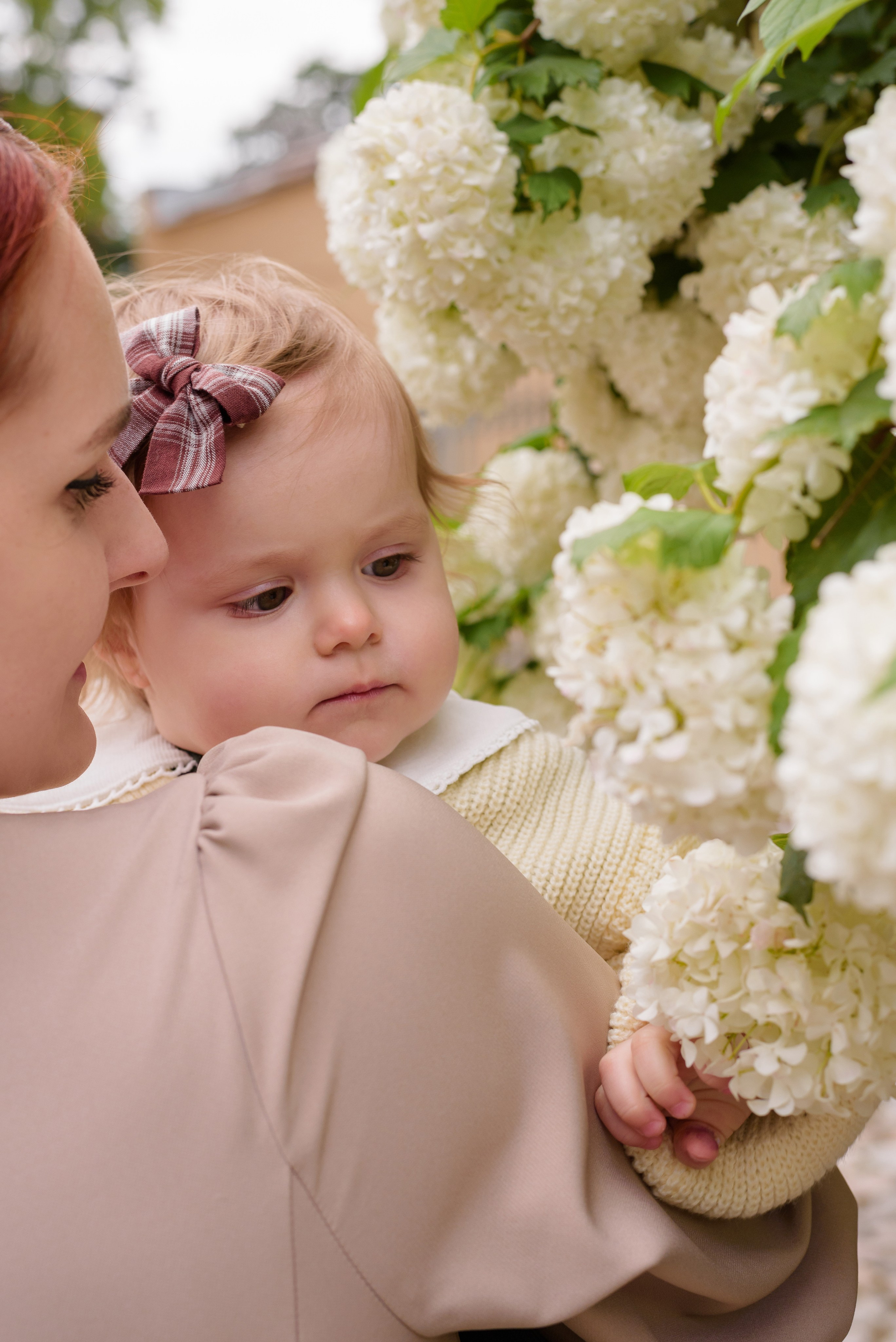 Съёмка семьи Панцырных. Фотограф, ретушёр, графический дизайнер в Петербурге Борякина Настя