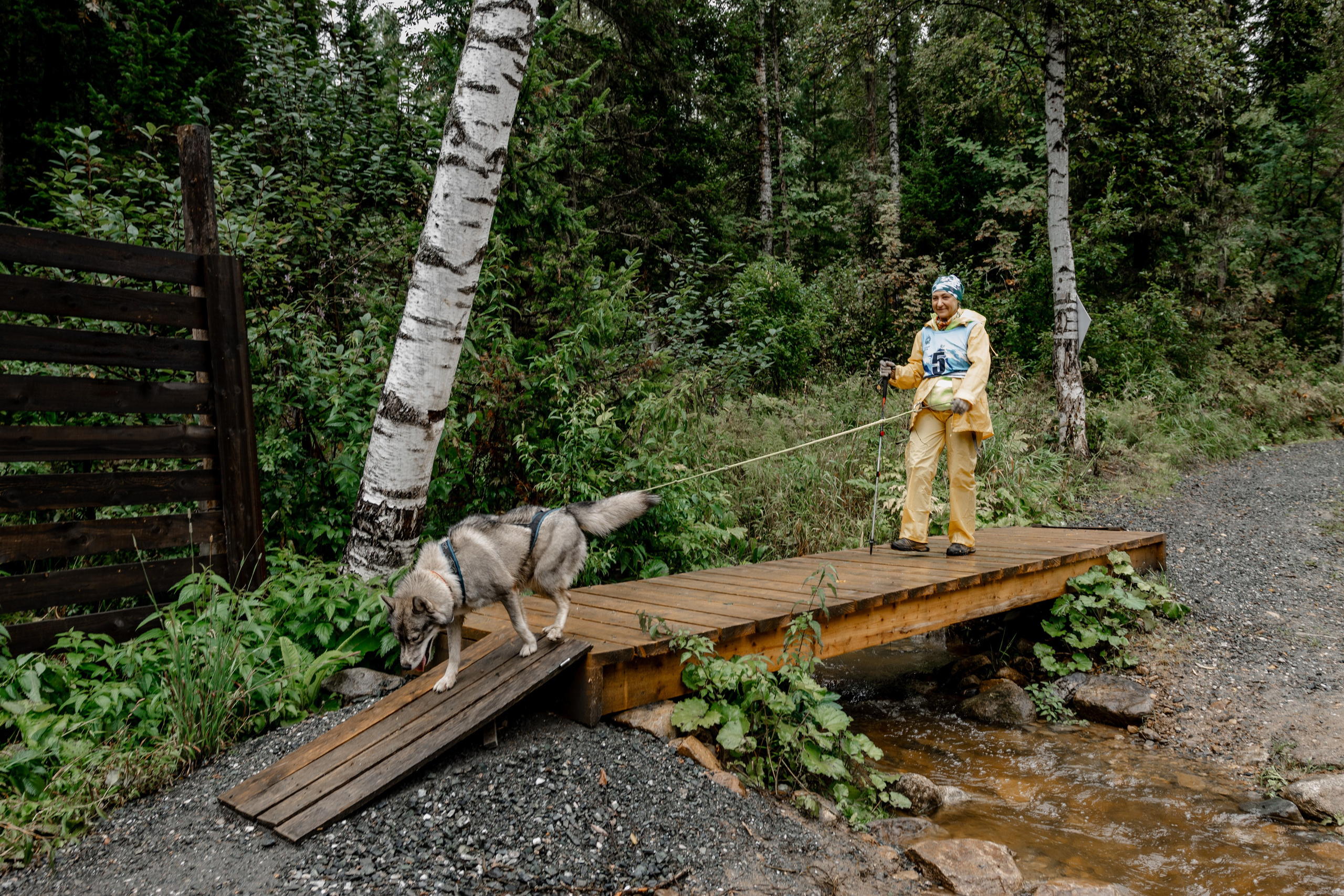 Дог-треккинг
