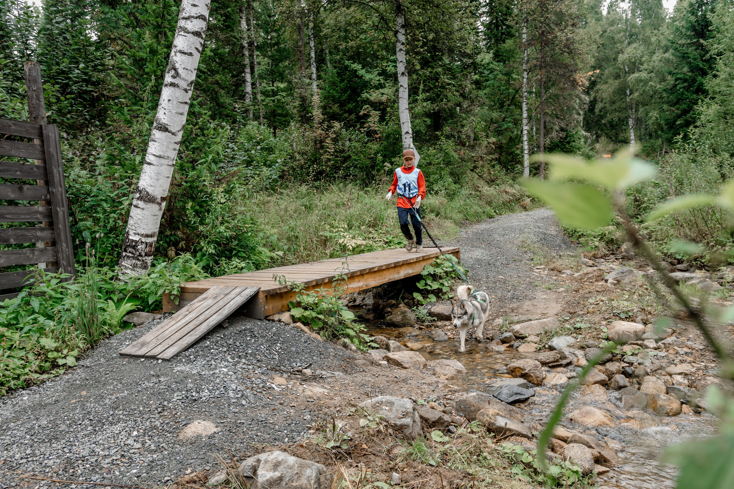 Дог-треккинг